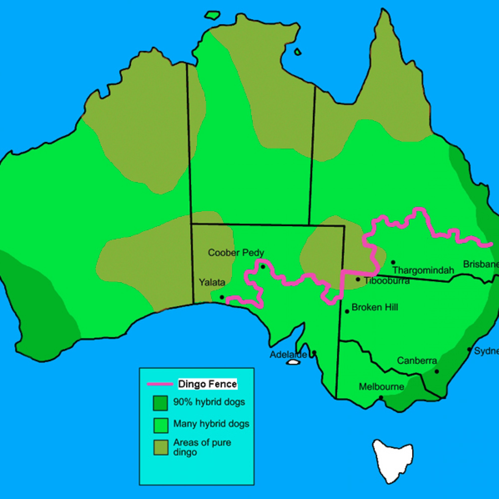 Der Riesenzaun trennt die Südspitze Australiens vom Rest des Landes. (Roke-commonswiki,CC BY-SA 3.0, Wikimedia)