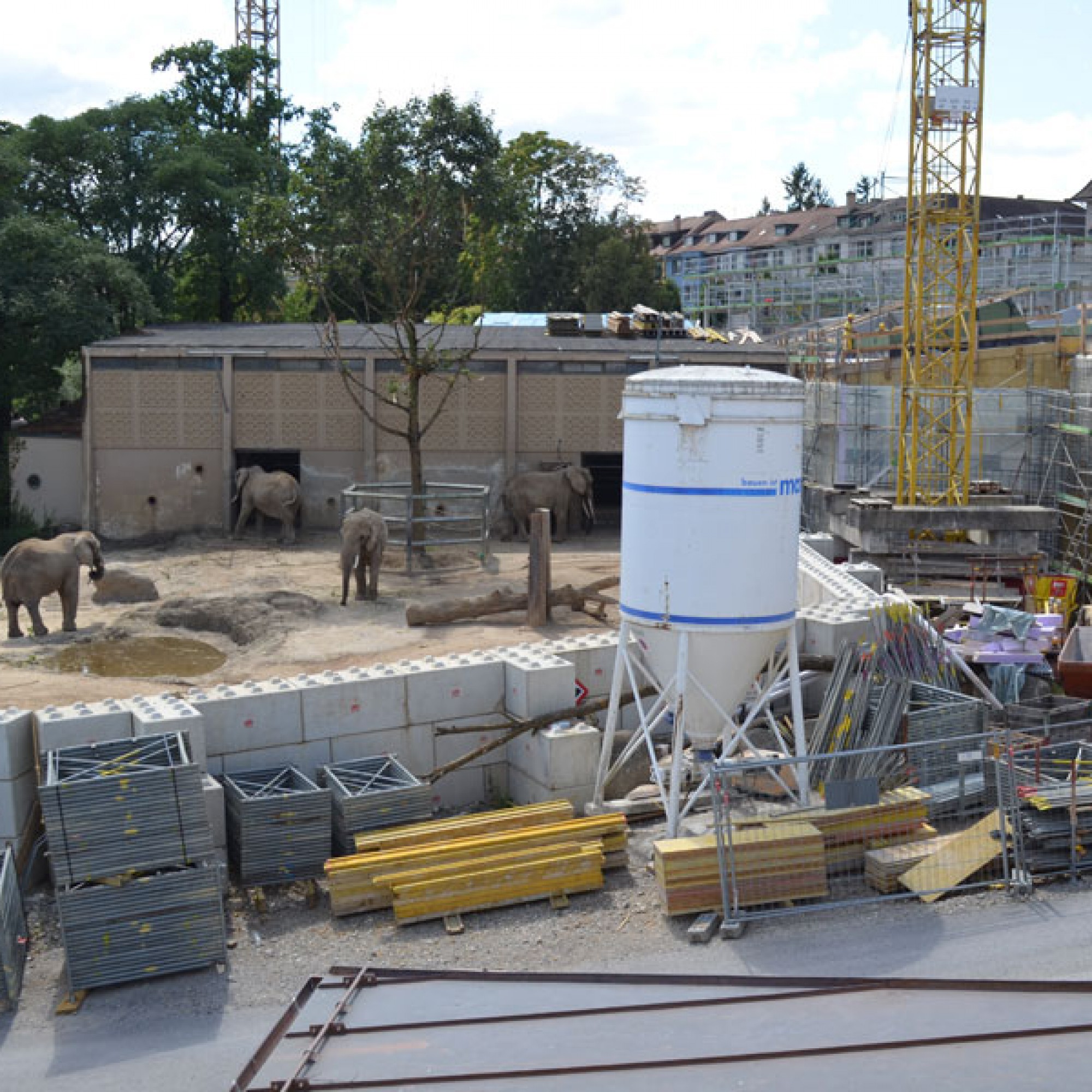 Blick auf die Grossbaustelle im Basler Zoo. In der Bildmitte ist das alte Elefantenhaus zu sehen (stg)