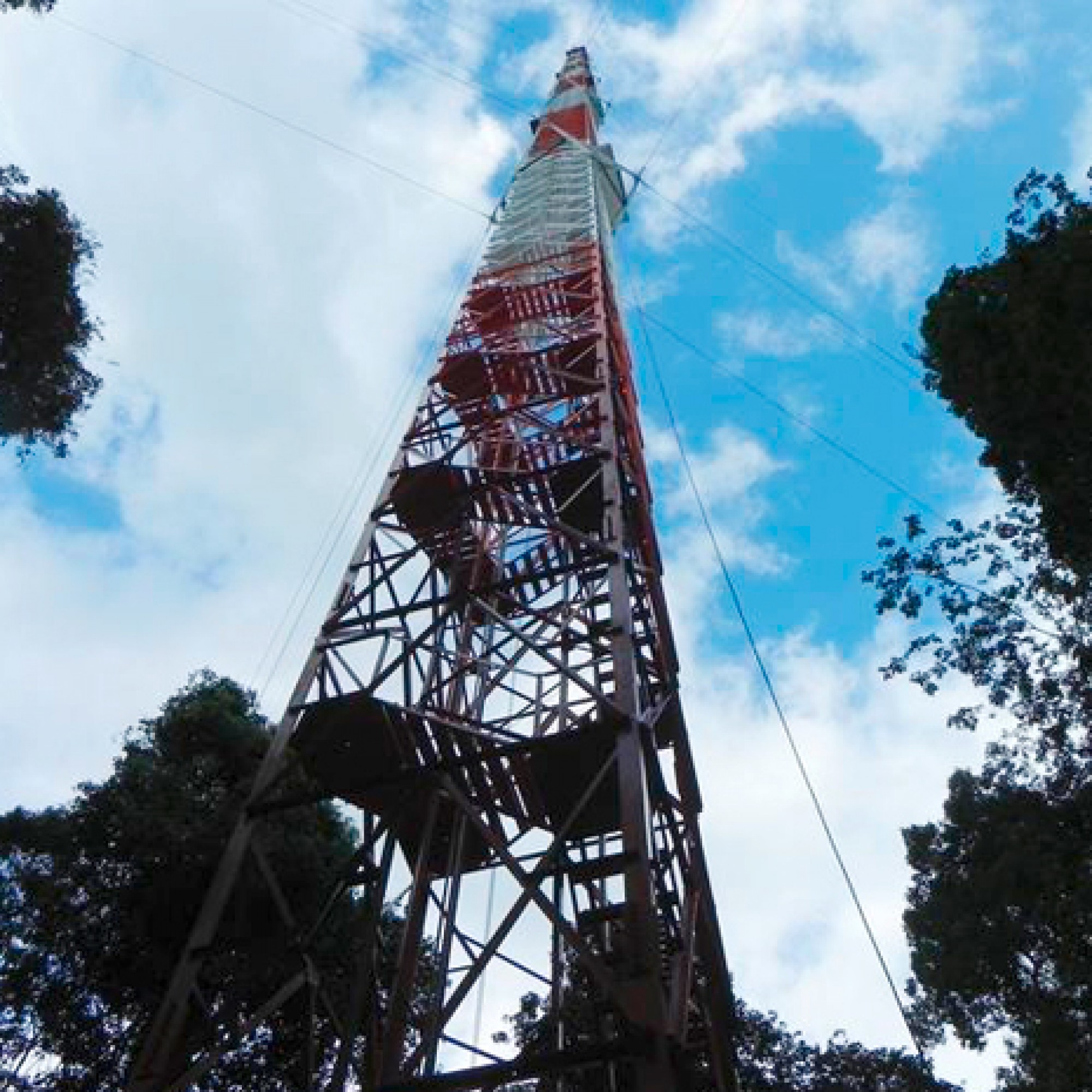 So hoch wie der Eiffelturm: der Messturm im Amazonas. (PD/MPIC Kesselmeier)