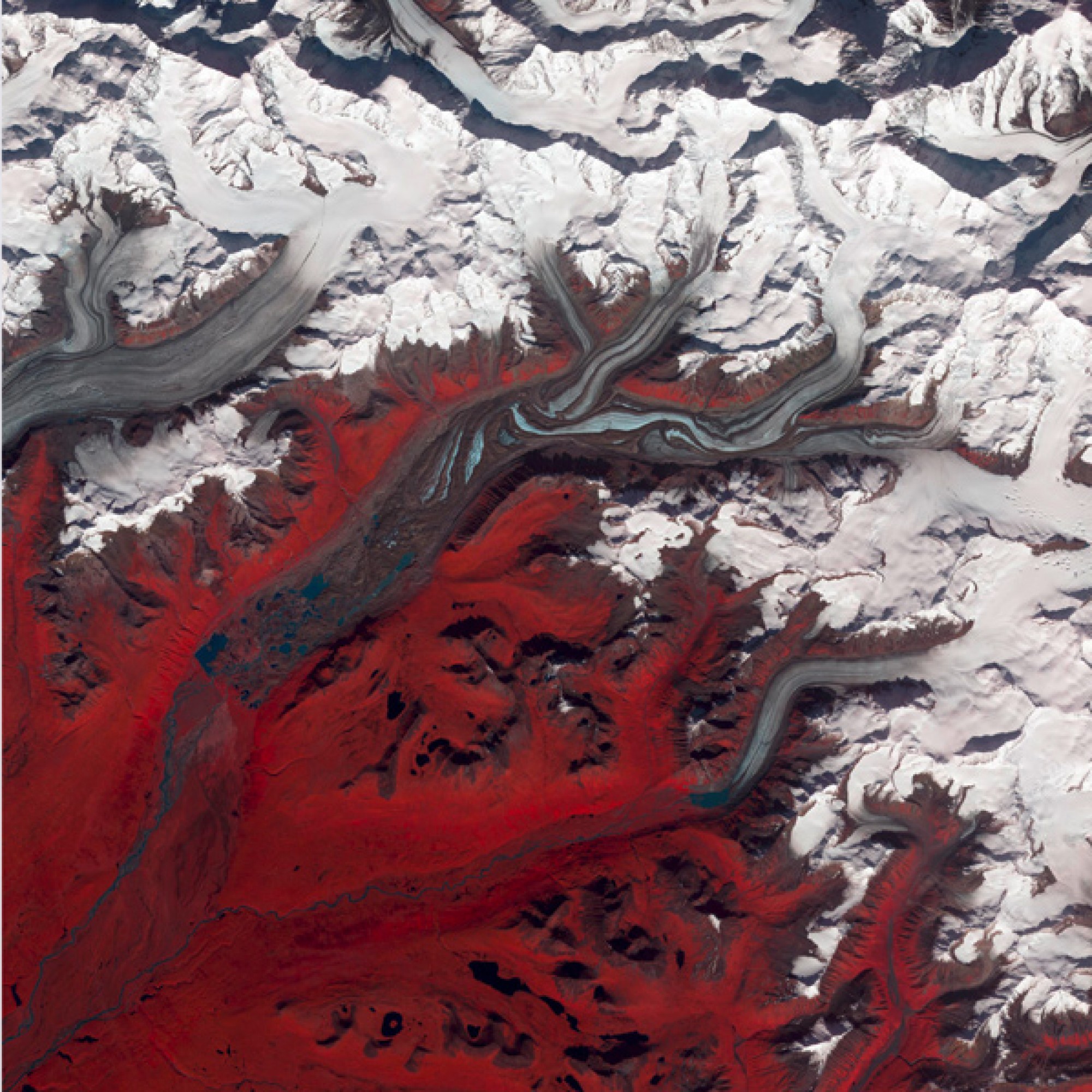 Susitna-Gletscher in Alaska. Die Farben wurden verfremdet: Die Gebiete, in denen es Vegetation gibt, sind rot. 