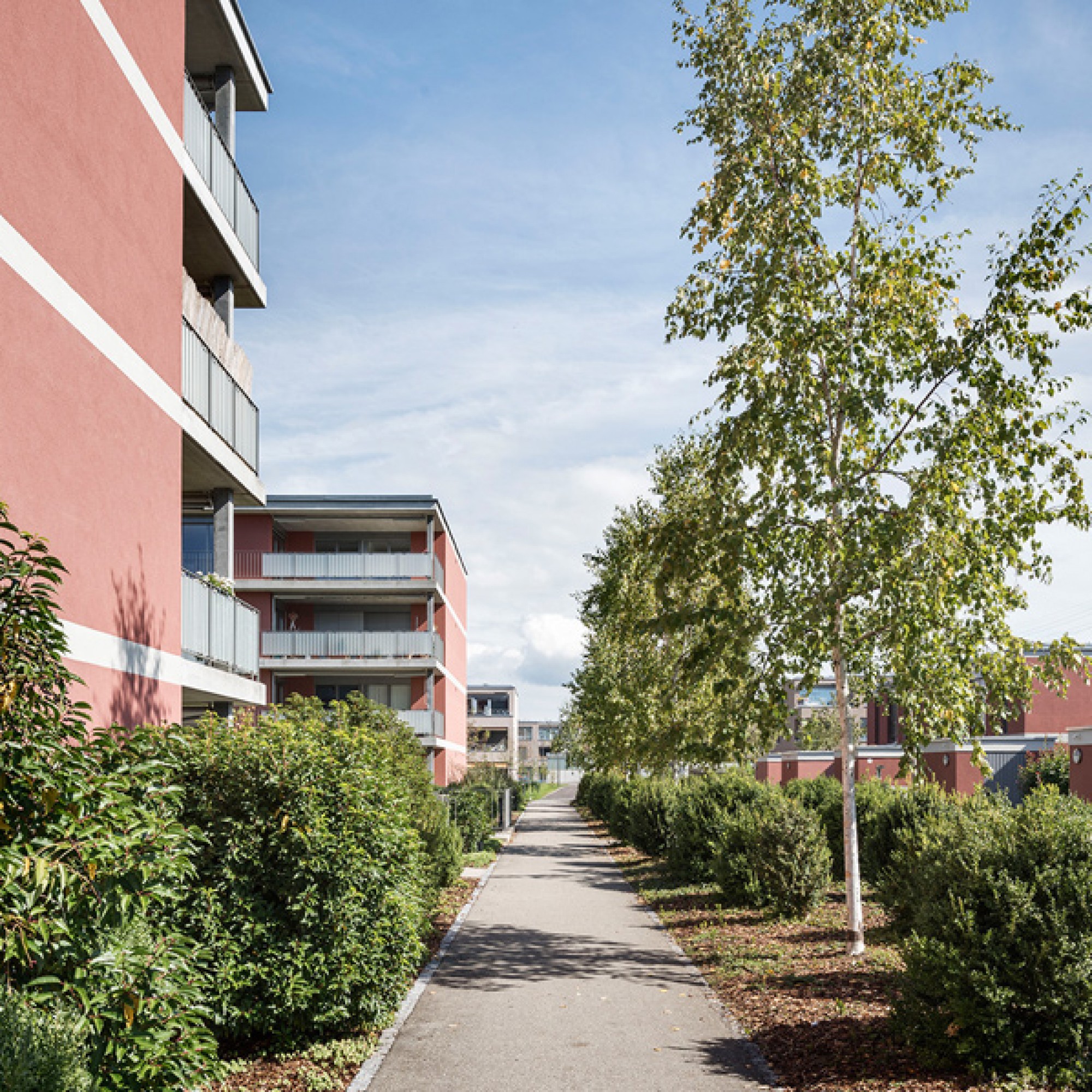 Wohnüberbauung Pappelweg-Kieshübelweg. (Beutler/ KEYSTONE) 
