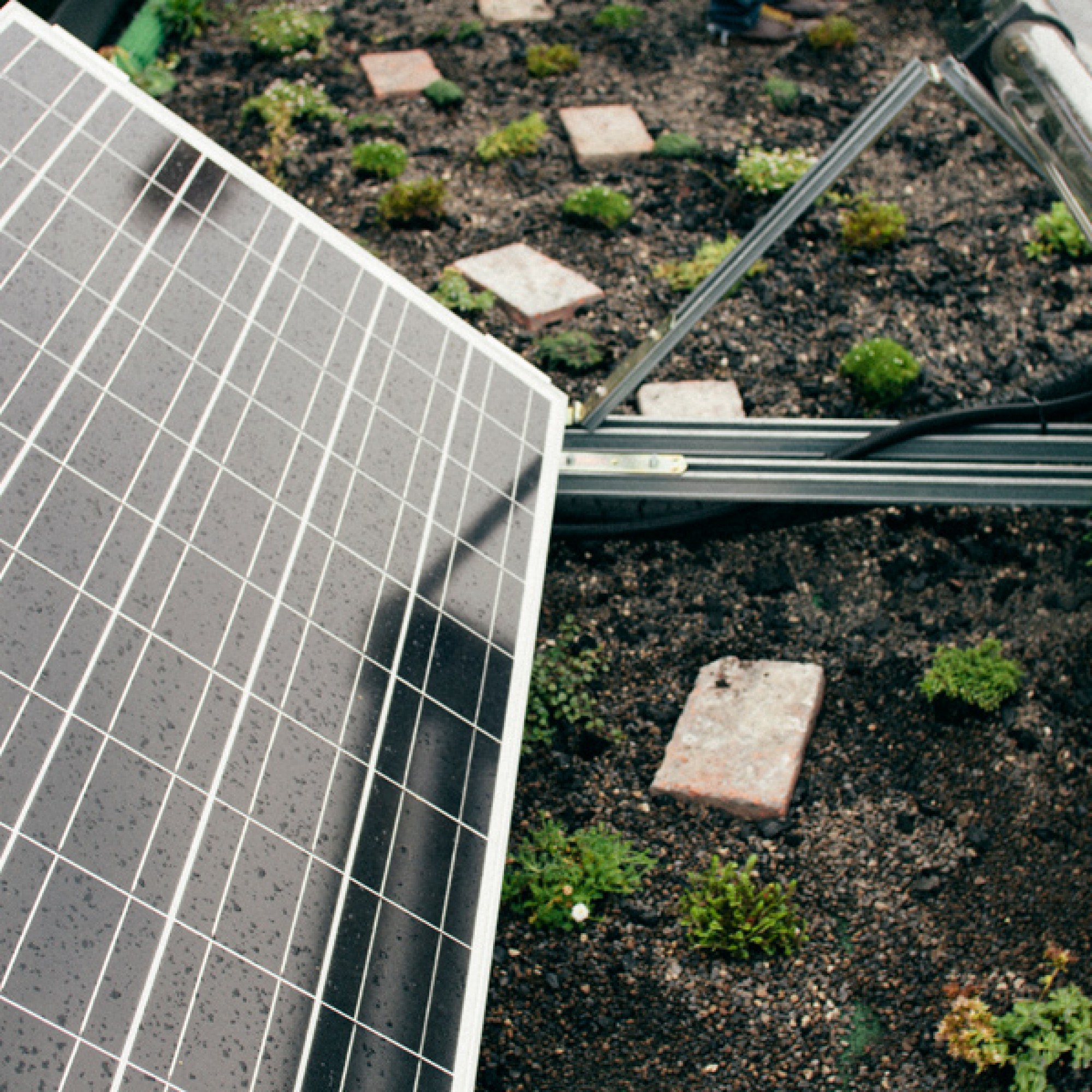 Auf dem Dach der Energieautarken Version befinden ich Solarpanels und eine Pflanzenkläranlage.  (Wohnwagon/PD)