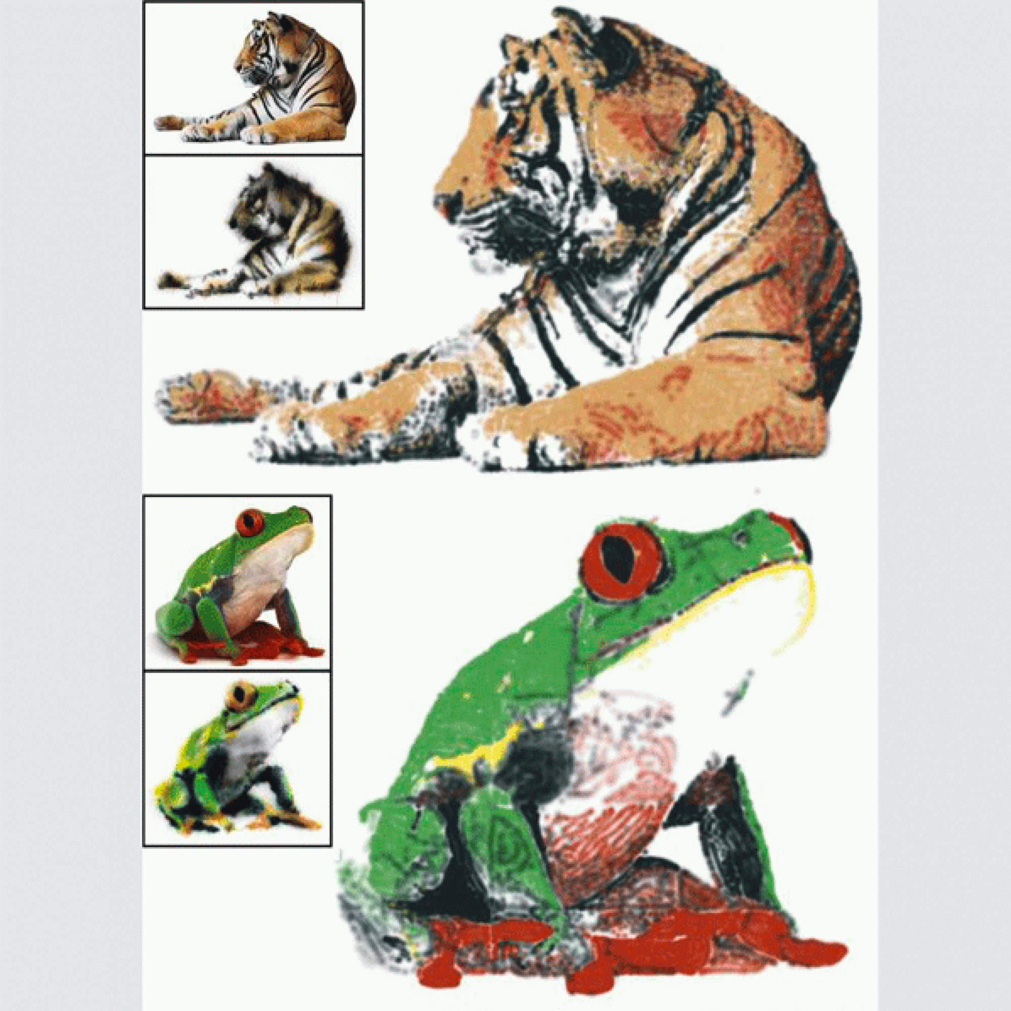 Vom Photo zum Graffiti - so sehen Tiger und Frosch aus der Spraydose aus. (Wojciech Jarosz/Dartmouth College)