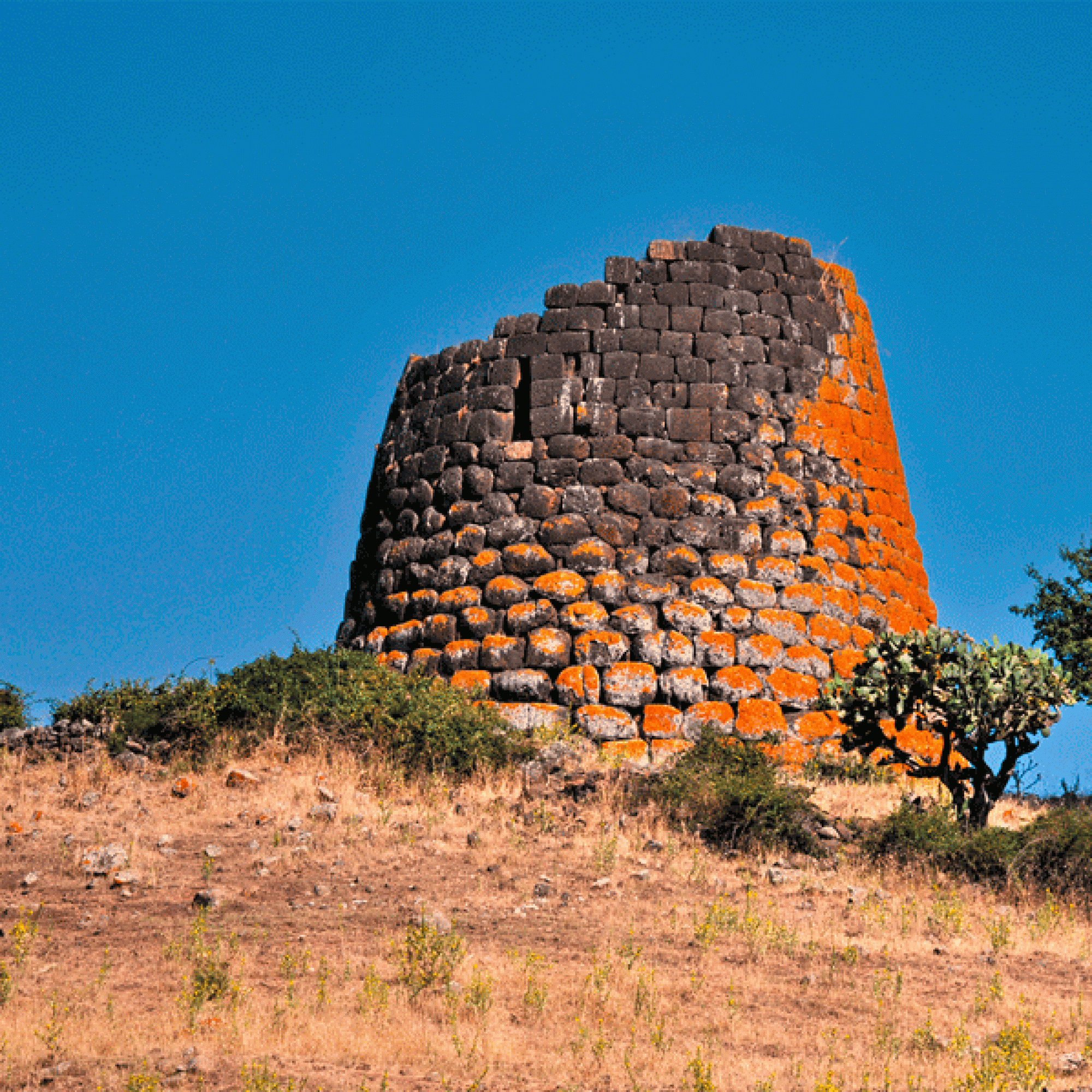 Ein typische Tholosnuraghe, Nieddu bei Codrongianos. (Bild: Soprintendenza Archeologia della Sardegna) 