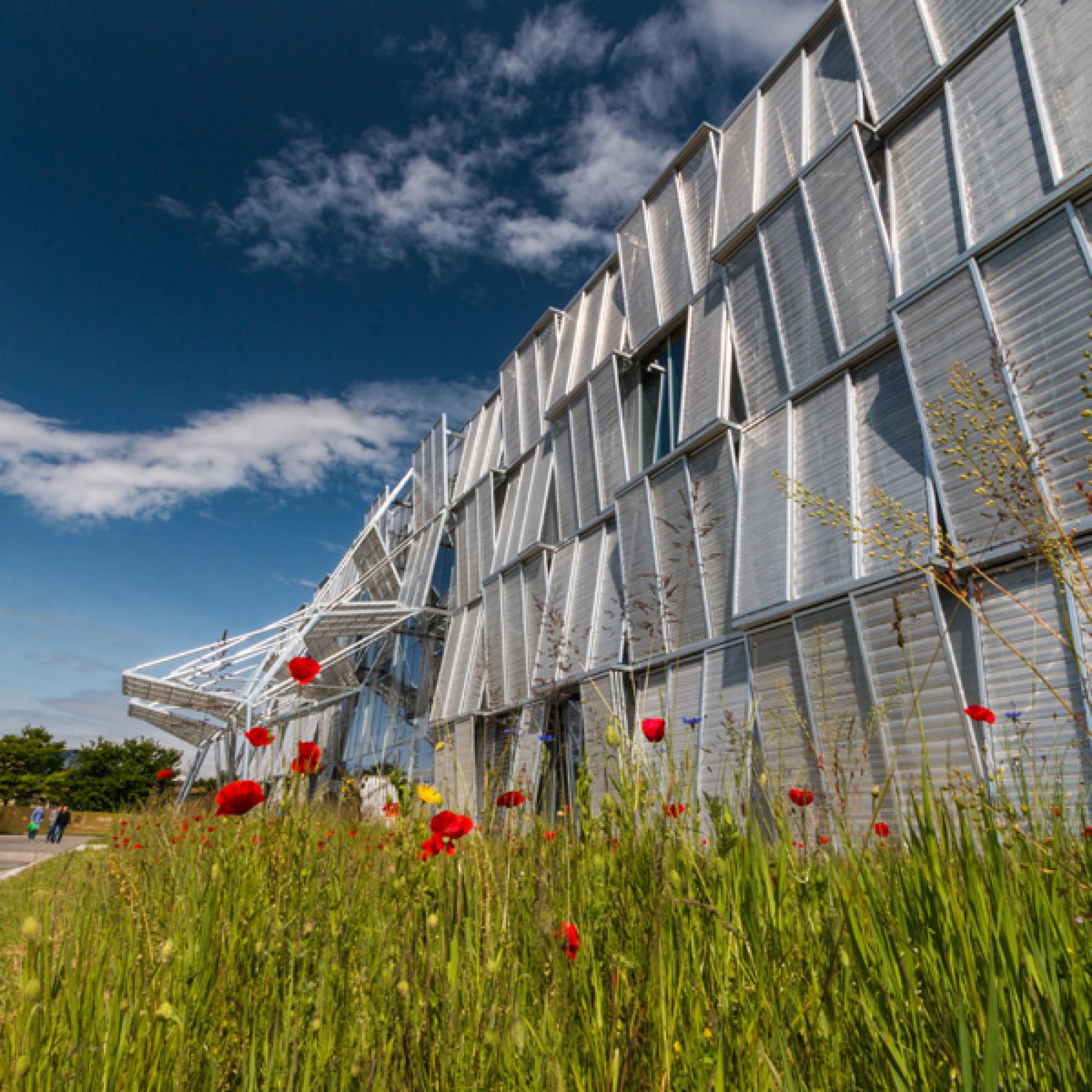 An der Fassade… (© 2016 EPFL Jamani Caillet)