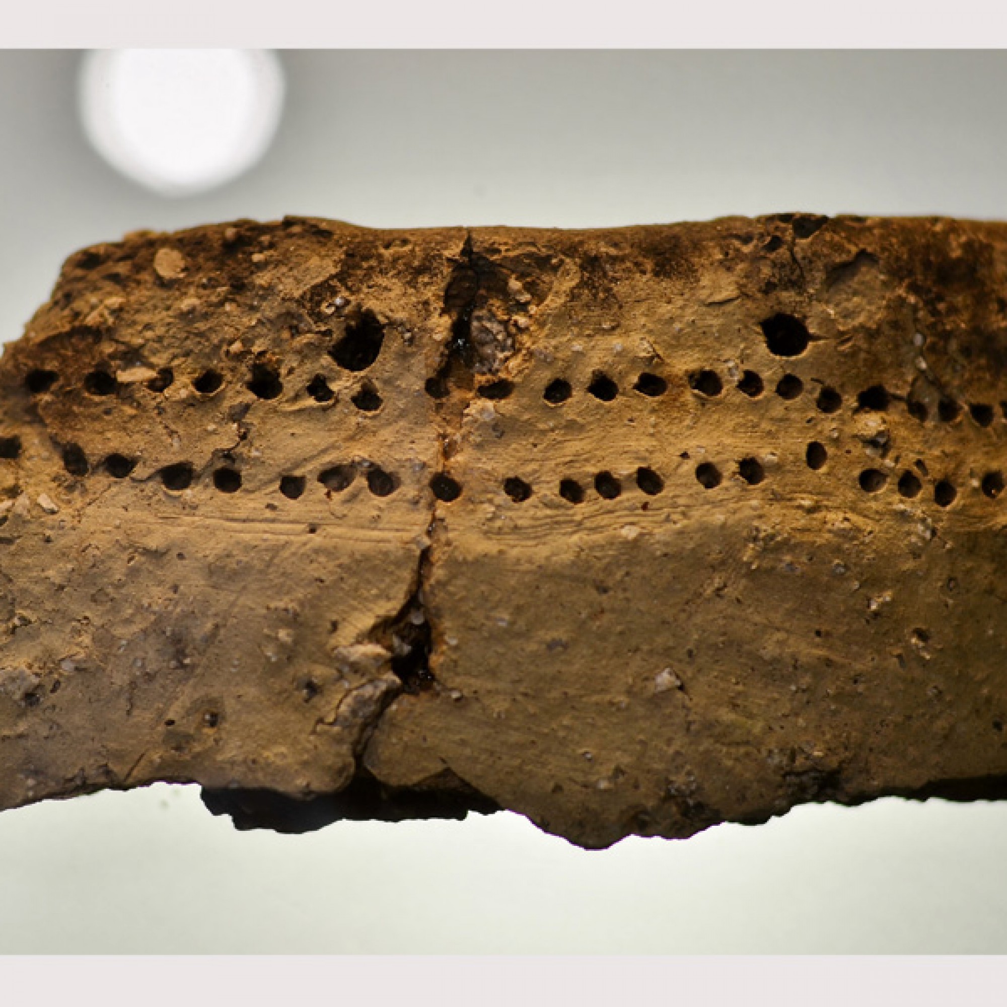 Fragment eines verzierten Topfs aus der Horgener Kultur, gefunden bei einer Grabung in Zürich (Hartmann Linge, CC BY-SA 3.0, commons.wikimedia.org)