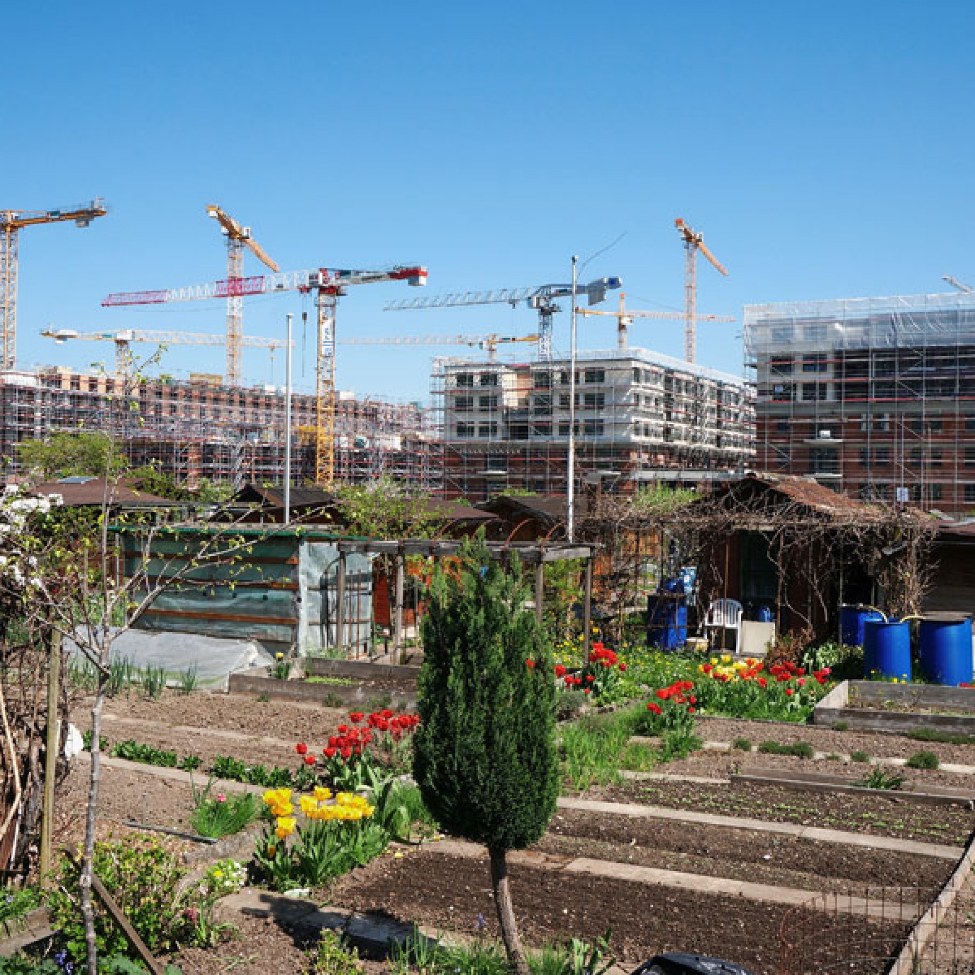 Auf dem Gelände eines ehemaligen Zollfreilagers in Zürich wurden vorwiegend Wohnungen gebaut (Gabriel Diezi)