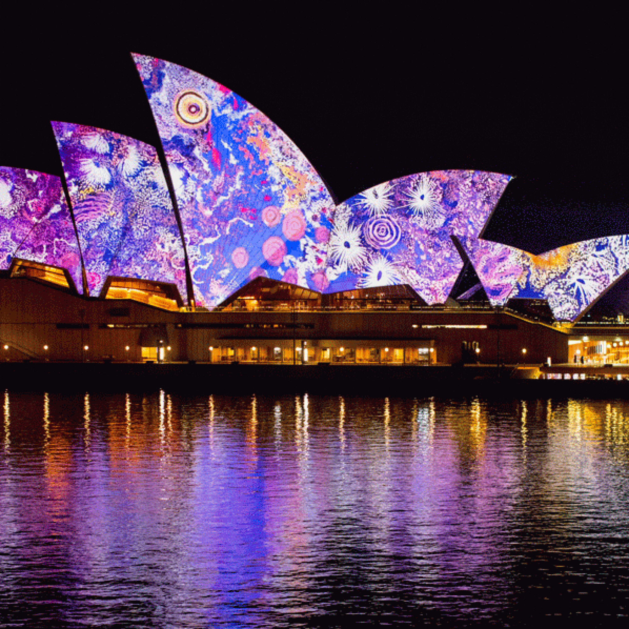 Eine Symphonie aus lila und blau von Gabriella Possum.  (Vivid Sydney)