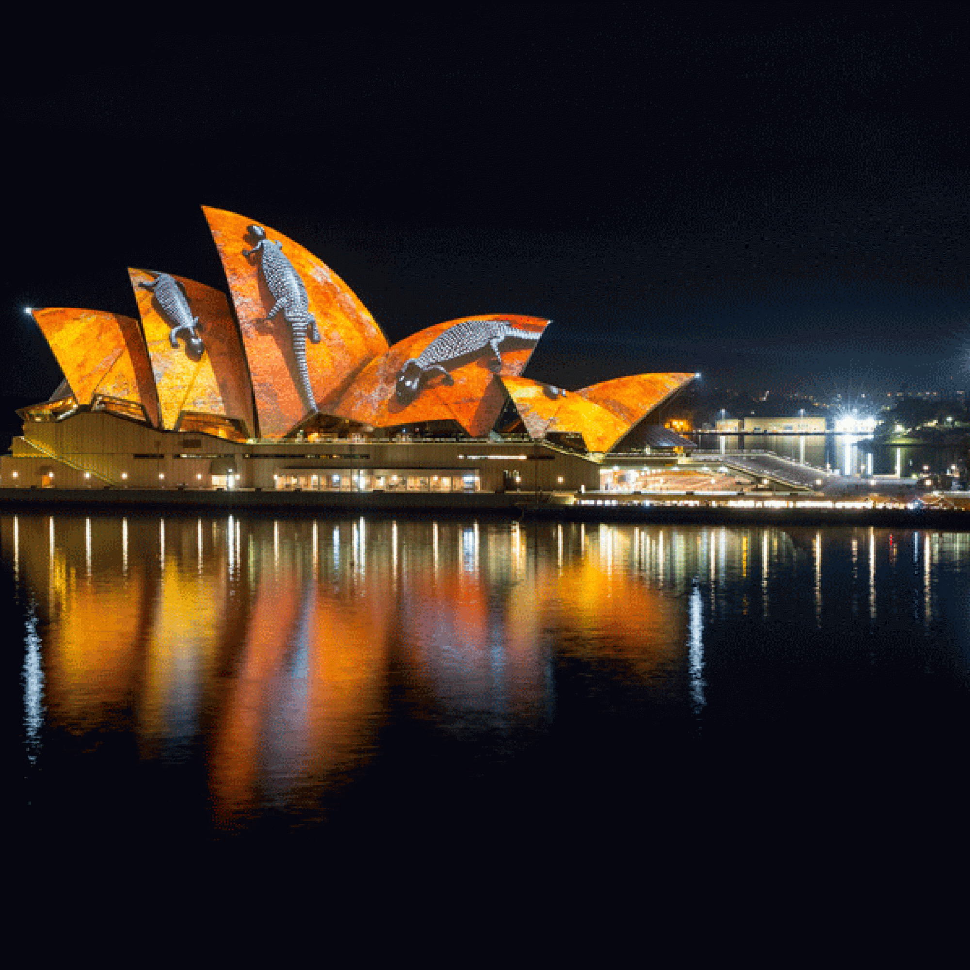 und Echsen von Donny Woolagoodja. (Vivid Sydney)