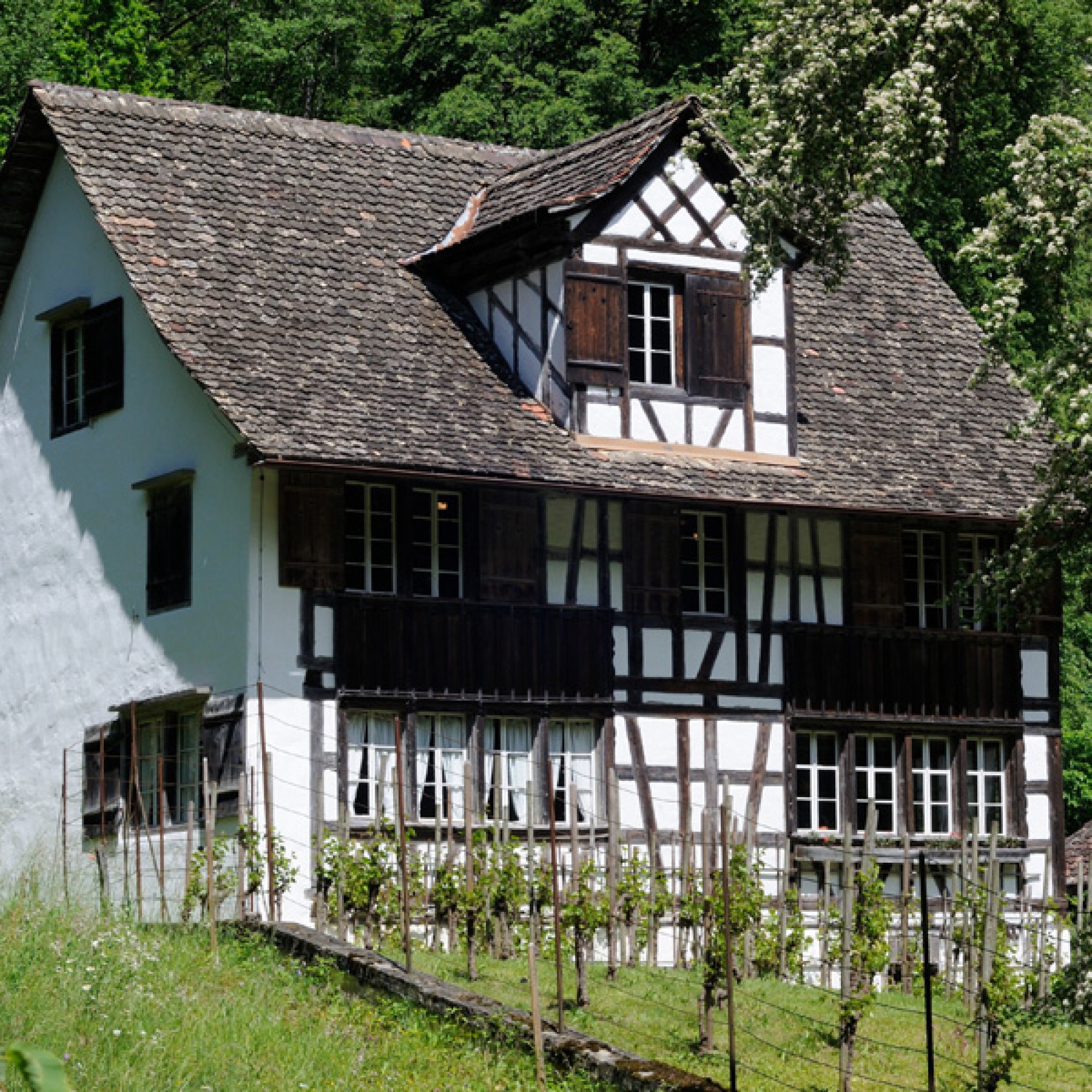 Richterswil ZH: Wo früher dieses Riegelhaus stand… (Bilder zvg)