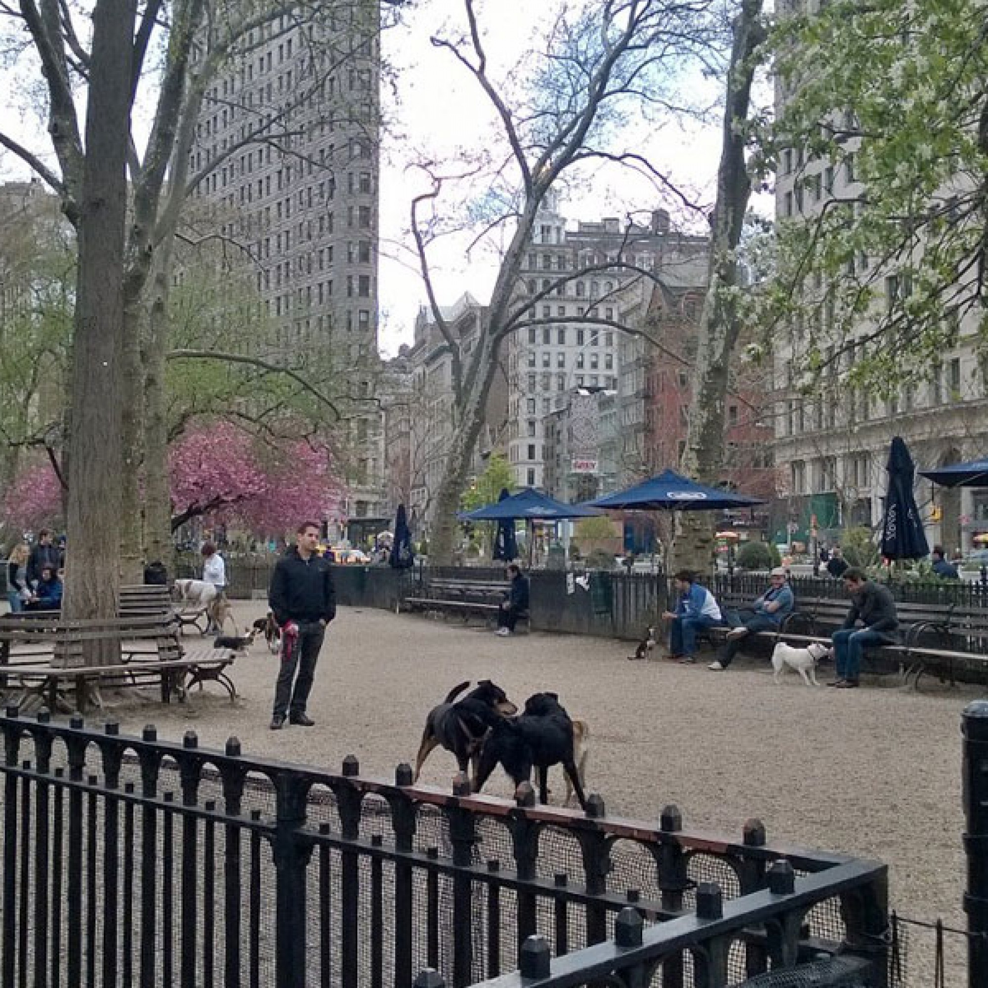 In New York gehören Hundeparks schon lange zu den beliebten Treffpunkten für Zwei- und Vierbeiner (zvg)