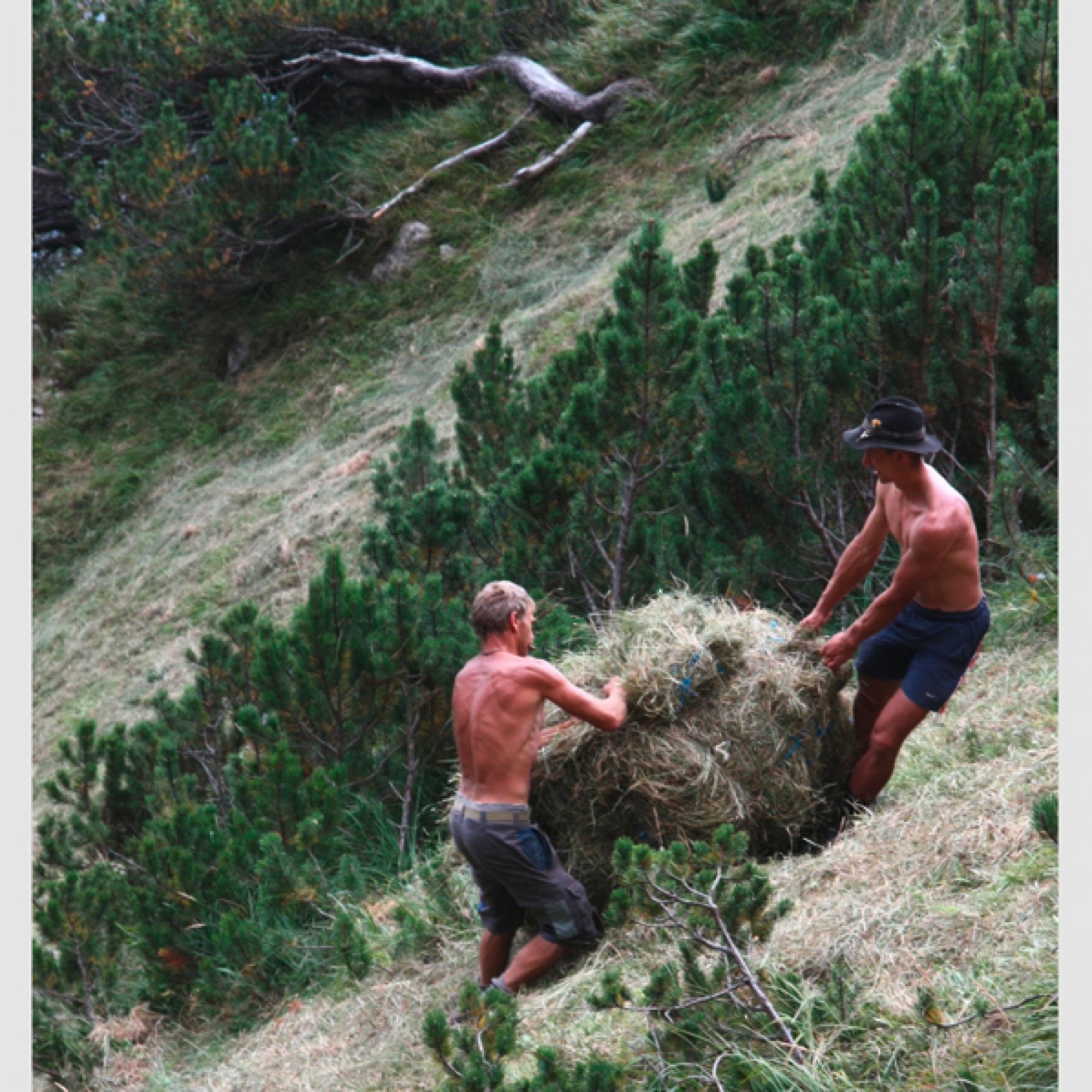 Wildheuer bei der Arbeit. (Mary Leibundgut/SL)