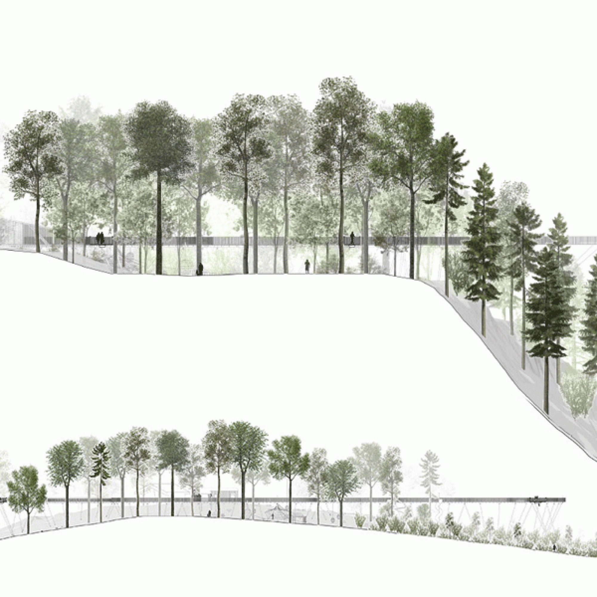 Die Topografie im Steinwäldli ist alles andere als gleichmässig.