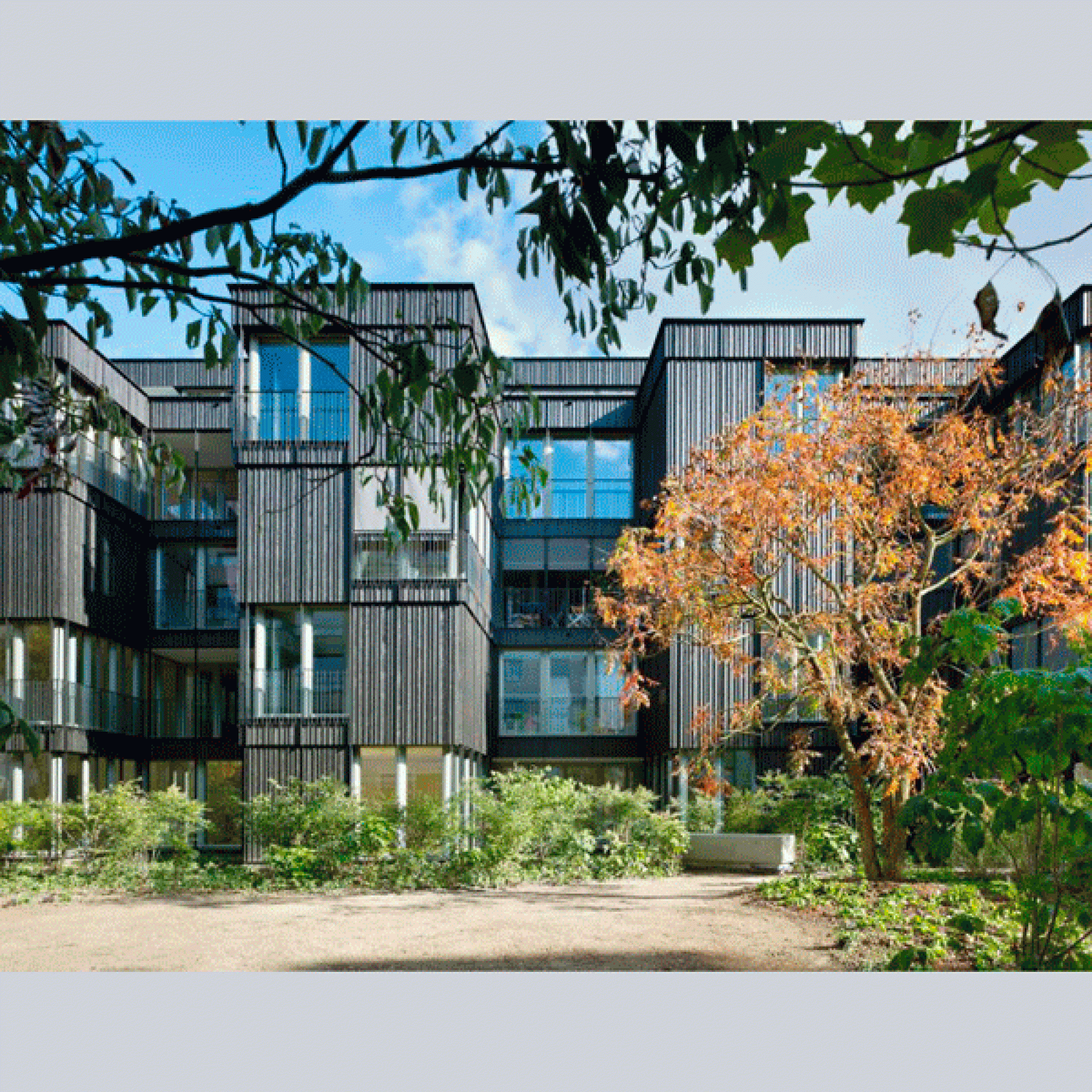 Silber in der Kategorie «Wohnbauten»: «Neubau Wohnungen Sempacherstrasse», Miller & Maranta AG (Ruedi Walti Fotografie, Basel)