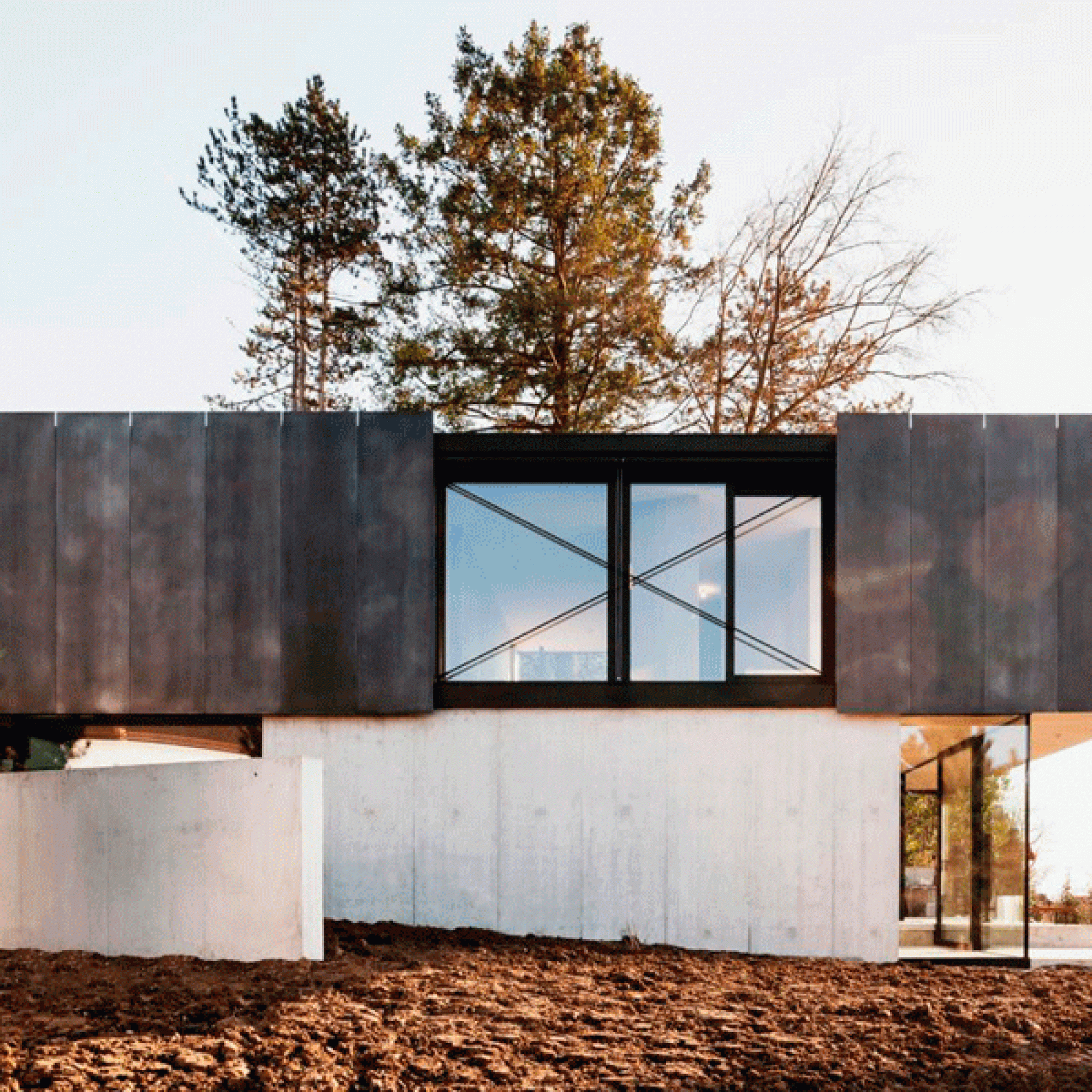 Blick auf das preisgekrönte Einfamilienhaus in Riehen vom Nachbargrundstück aus. (Eik Frenzel)