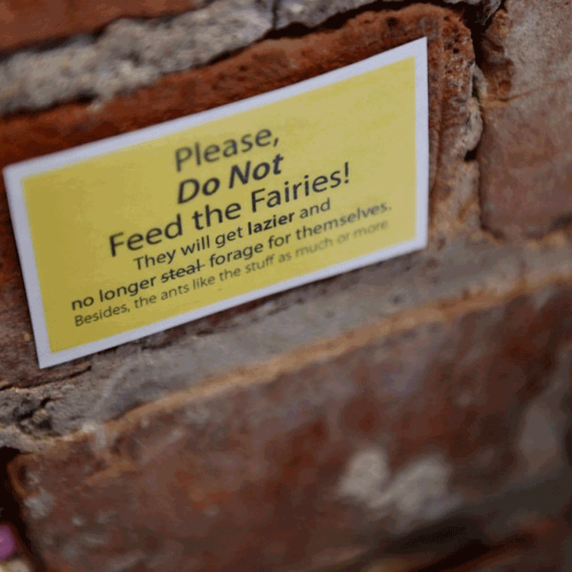 Offenbar sollten die Feen nicht gefüttert werden. (Bild: The Ann Arbor News)