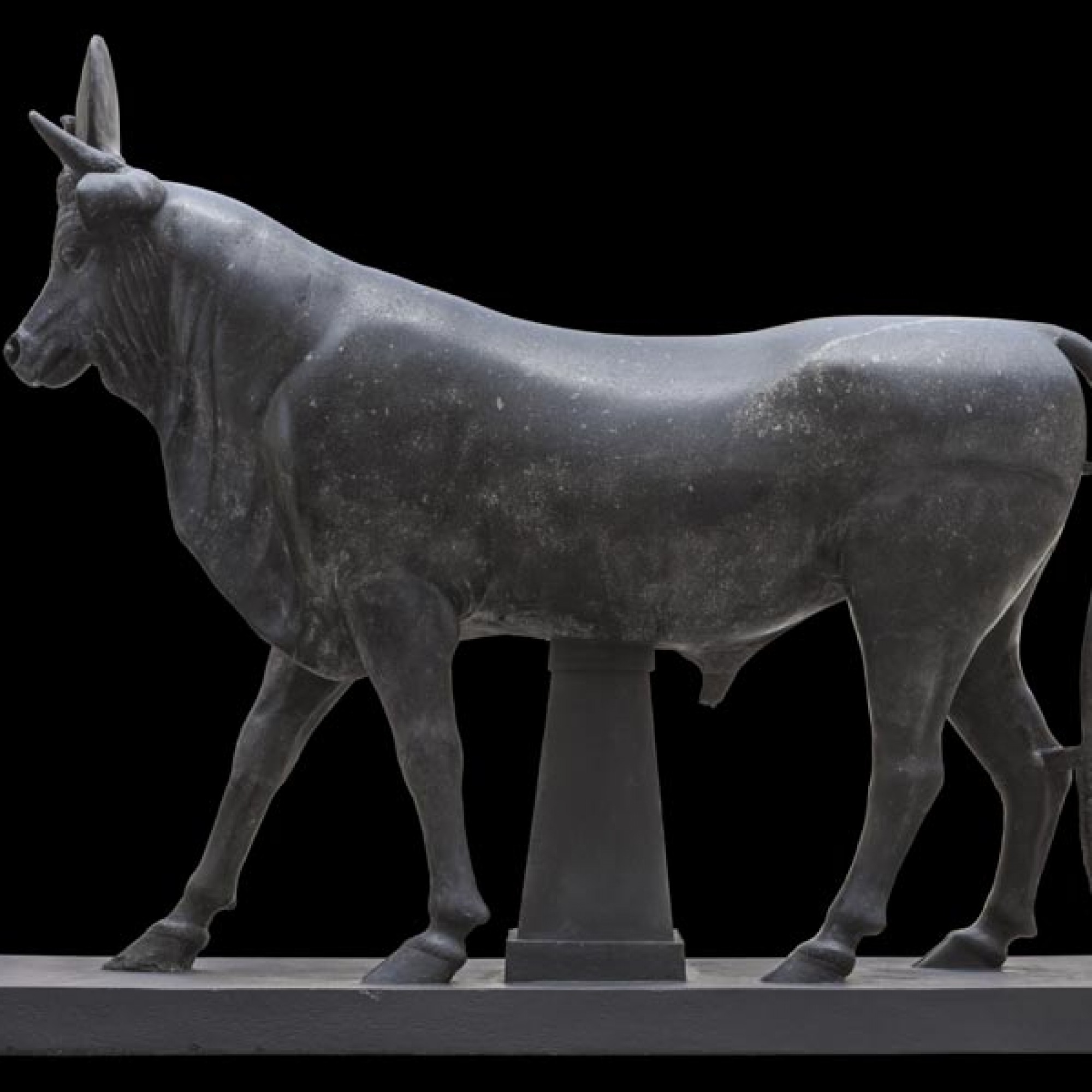 Apis-Stier, Griechisch-Römisches Museum, Alexandria (Foto: Christoph Gerigk/Copyright: Franck Goddio/Hilti Foundation)