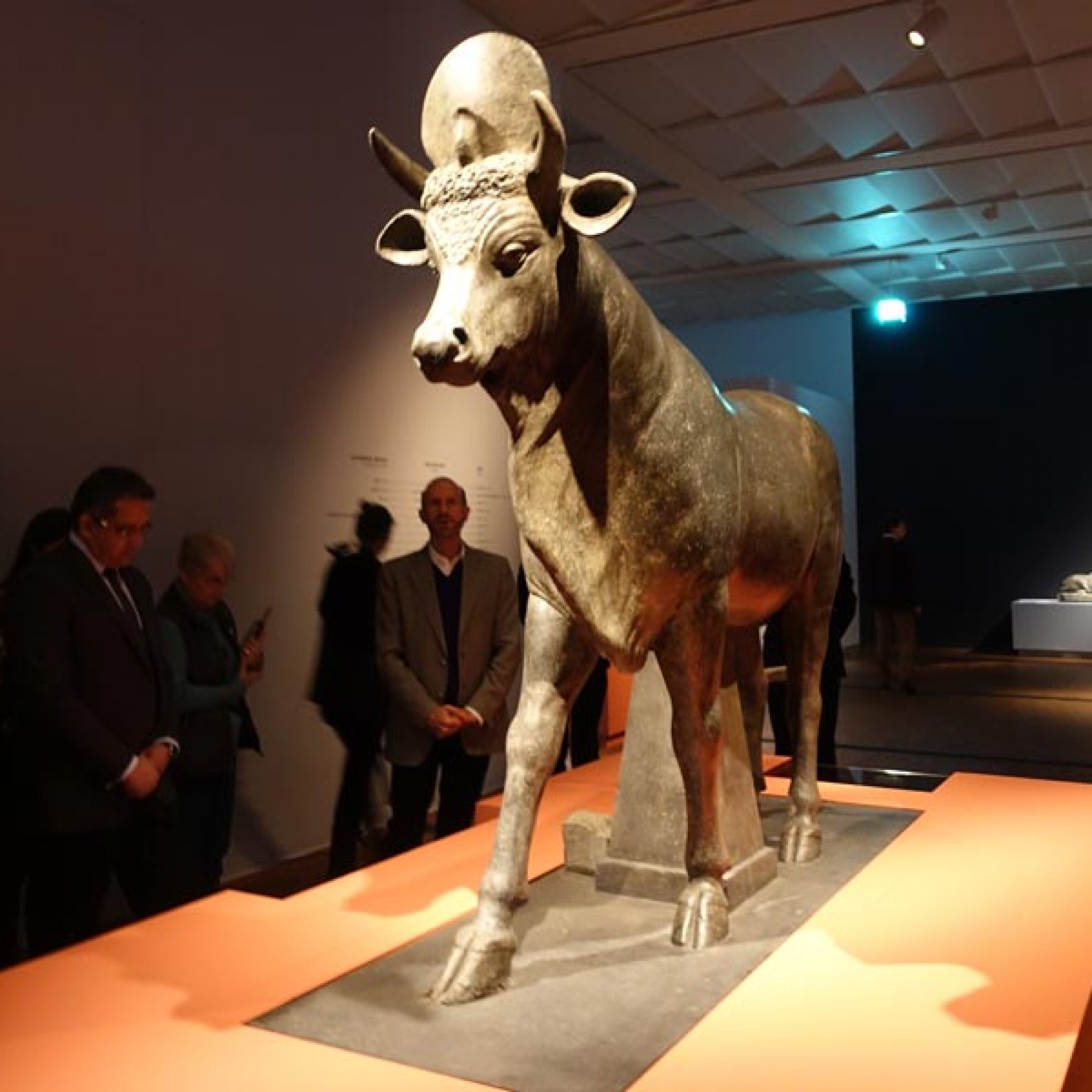 Der Apis-Stier wiegt gut 2,5 Tonnen.Für den Transport mit dem Lift ins Untergeschoss mussten Sondermassnahmen geplant werden. (Foto: Claudia Bertoldi)