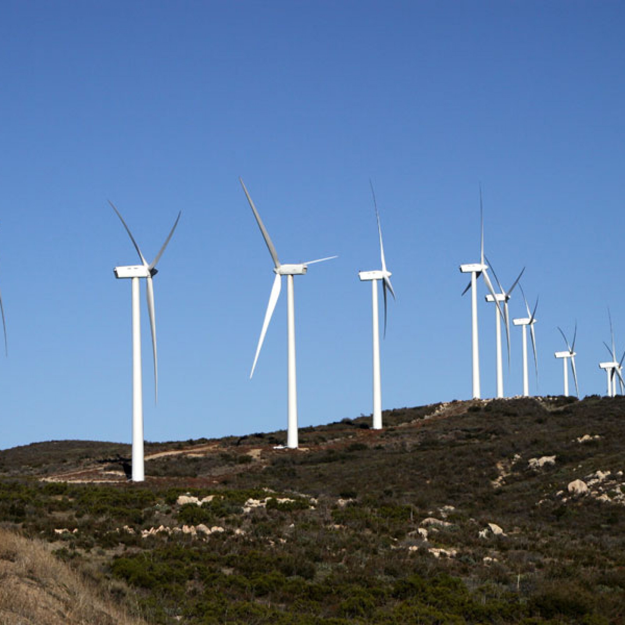 Windpark, Symbolbild (Maren Bessler, pixelio.de)