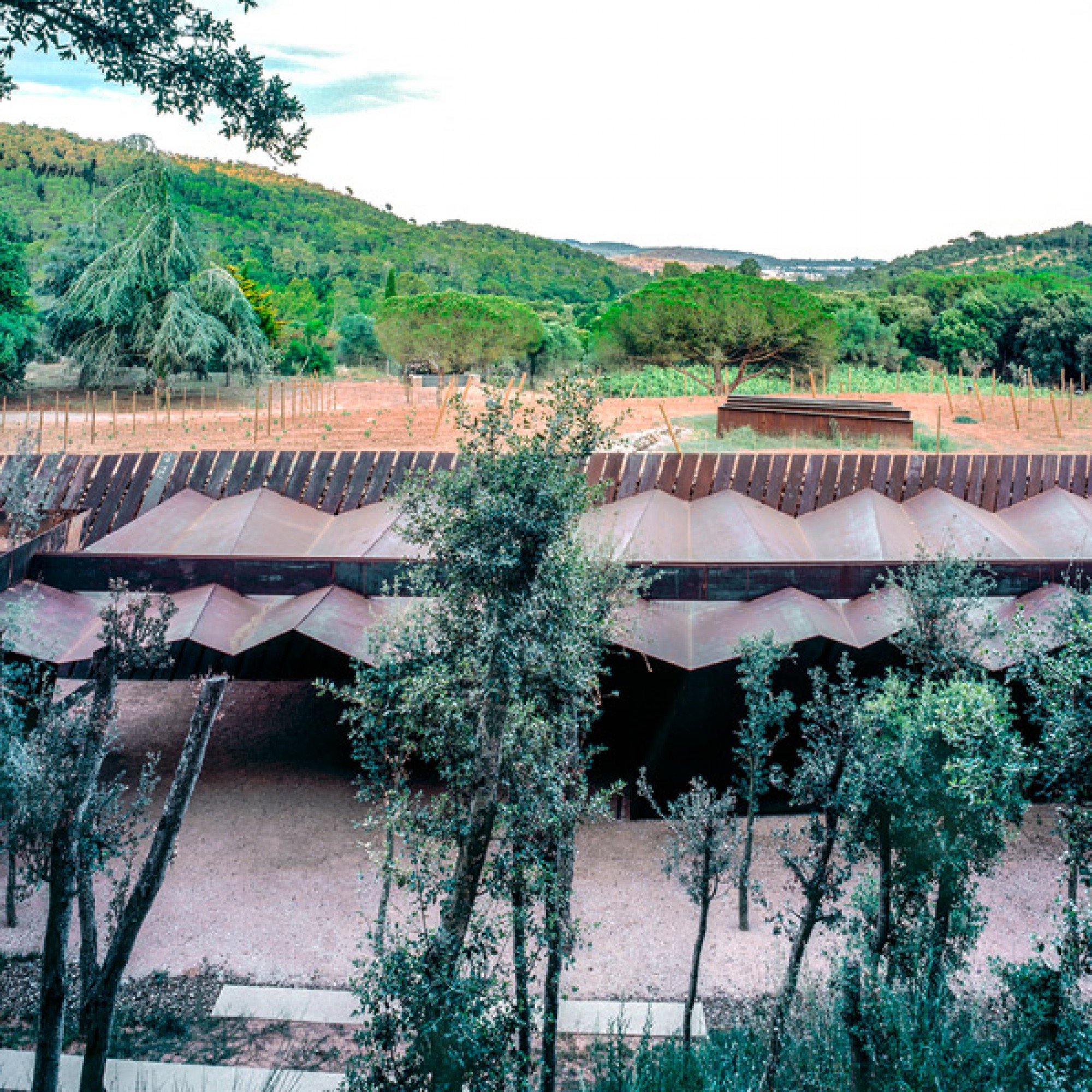 Weinkellerein Bell-Lloc ind Palamos, Spanien. (Hisao Suzuki)