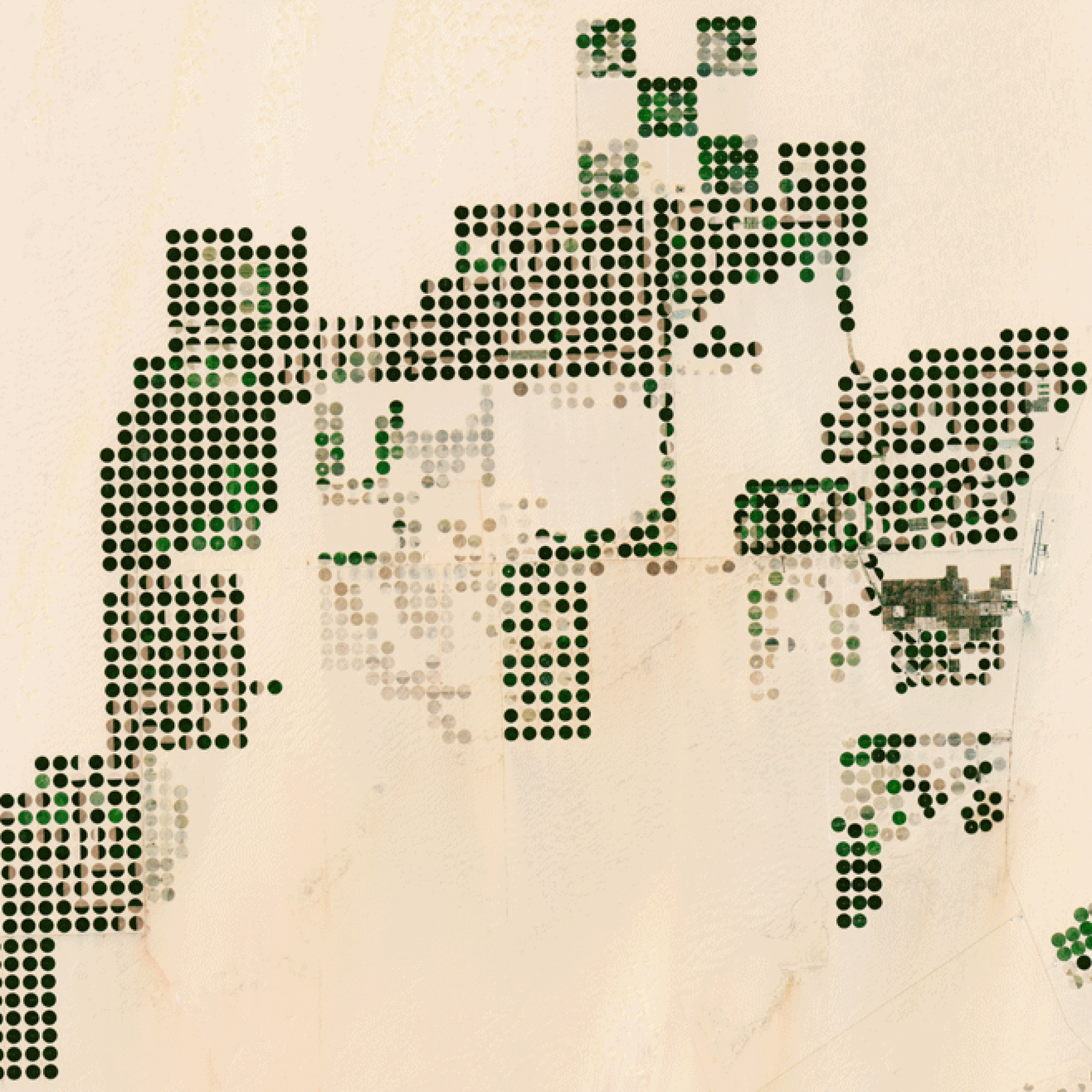 Die grüne Pracht in der Ostsahara... (Nasa)
