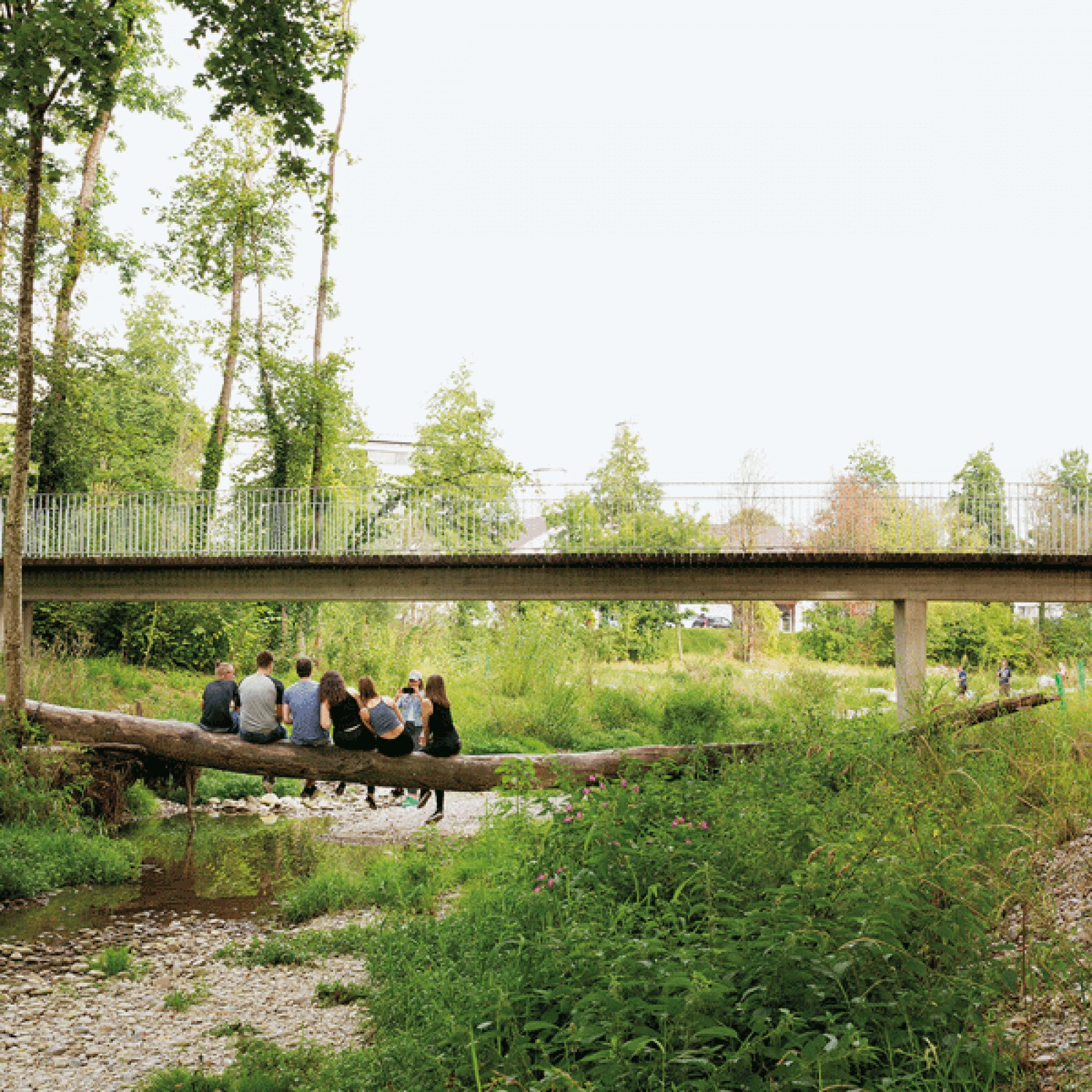 Der Murg-Auen-Park in Frauenfeld TG. (Bild: Flavio Karrer, Schweizer Heimatschutz)