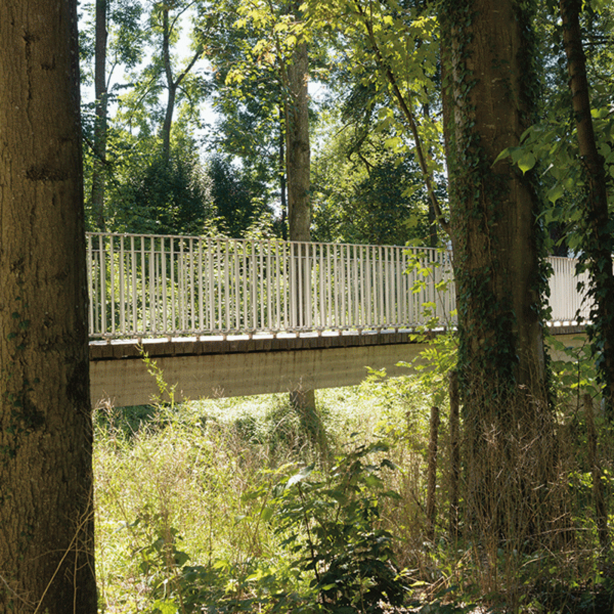 Der Murg-Auen-Park in Frauenfeld TG. (Bild: Flavio Karrer, Schweizer Heimatschutz)