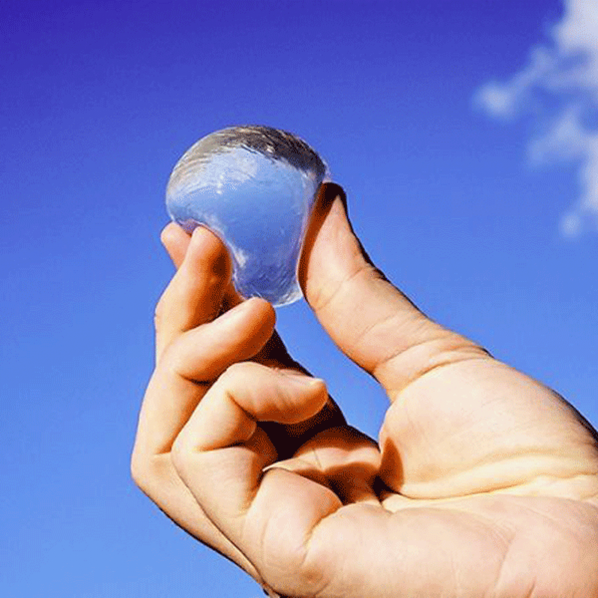 Ein Exemplar der speziellen Wasserblasen. (Bild: skippingrockslab.com)