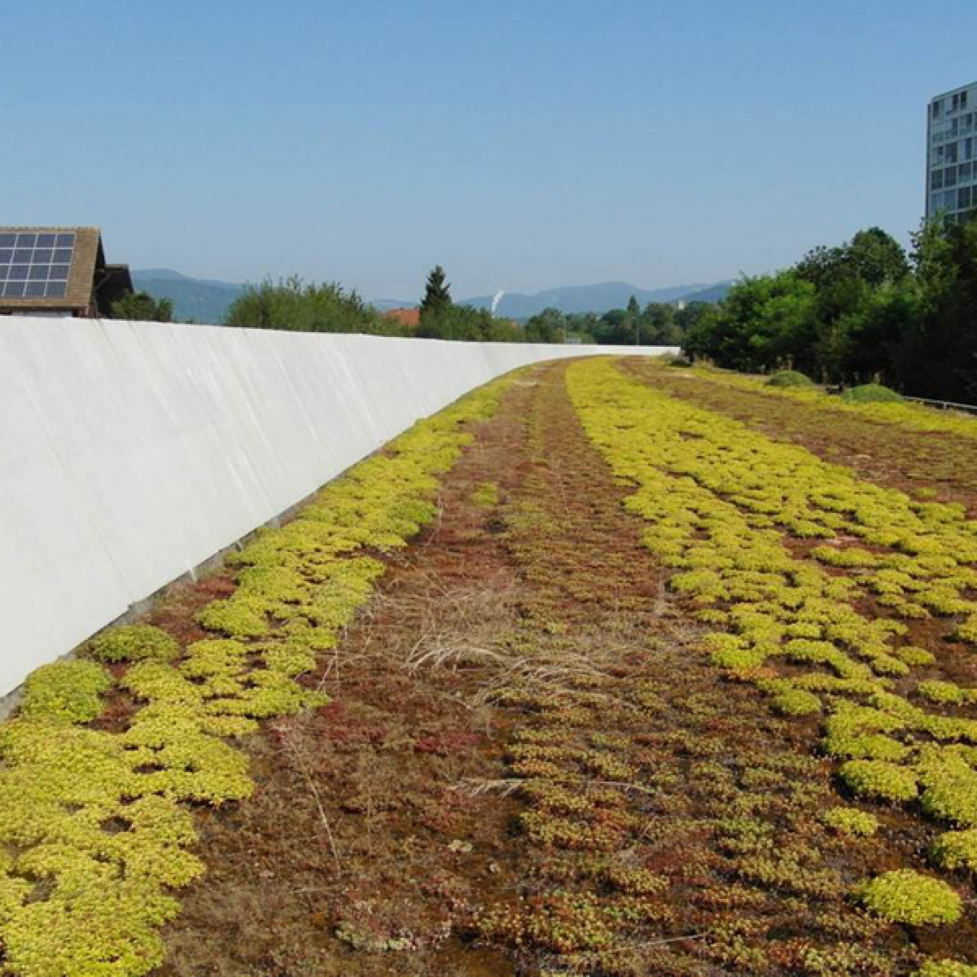 Die wirtschaftlichste Anordnung der Photovoltaik-Module ist die Ost-West-Ausrichtung. Sie weist über den Tagesverlauf eine gut verteilte Stromproduktion mit kleineren Spitzen am Mittag auf. Die Neigung von 15 Grad begünstigt die Selbstreinigung der Module