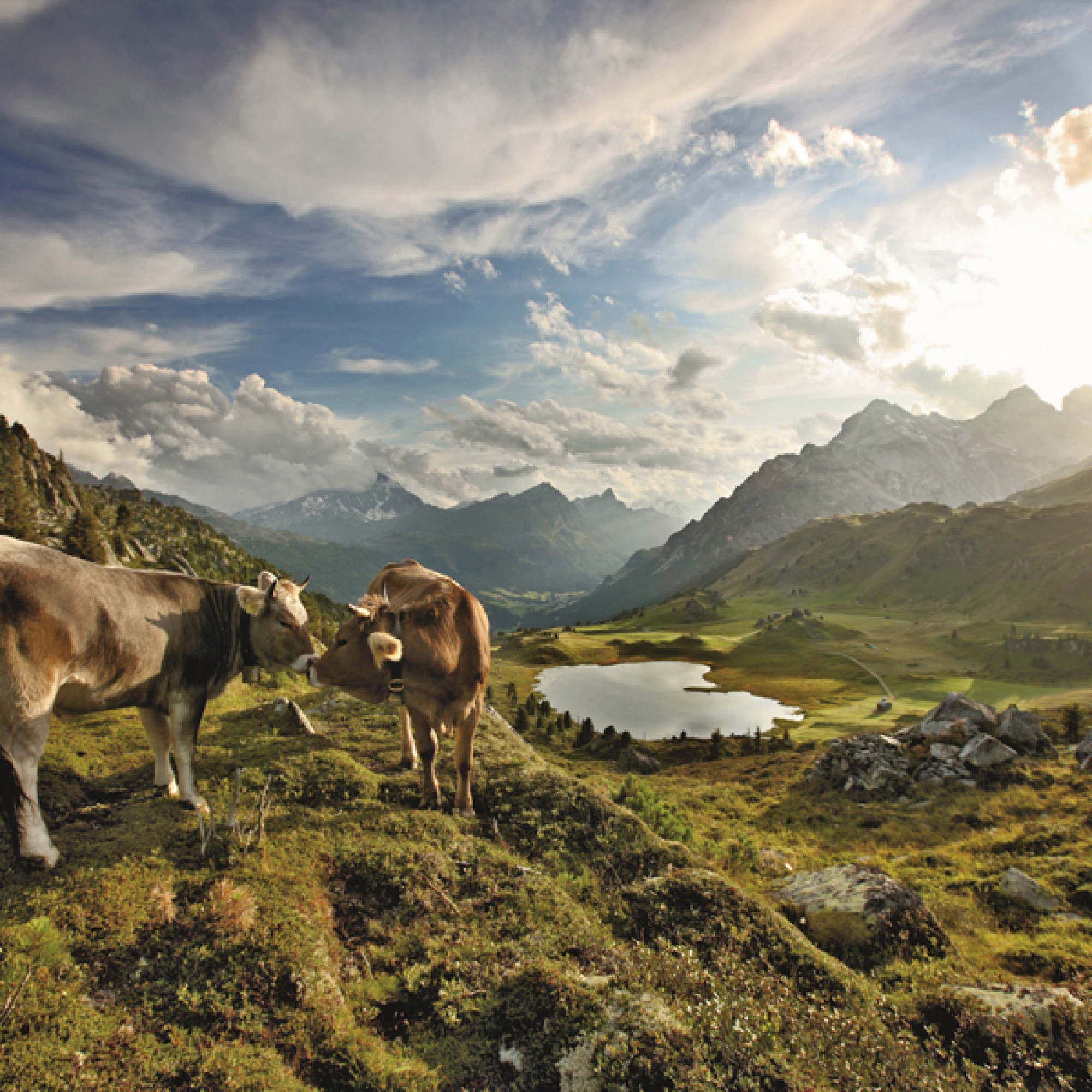 Idyll im Naturpark Beverin (Bild: Schweiz Tourismus, Bafu)