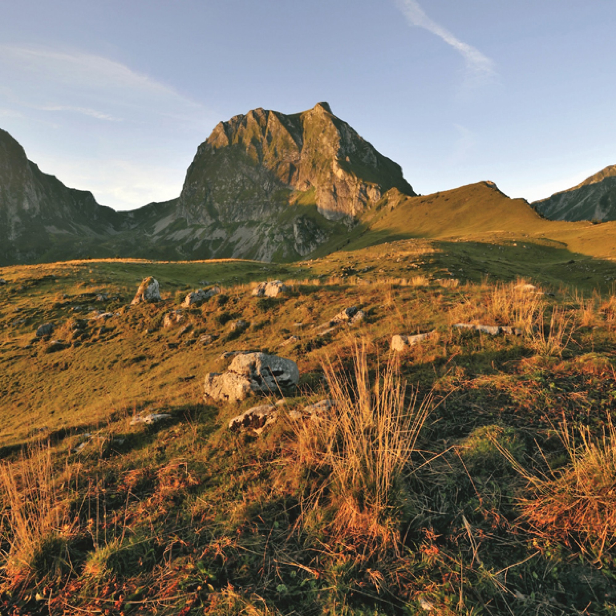 Lichtspiel im Naturpark Gantrisch (Bild: Schweiz Tourismus, Bafu)