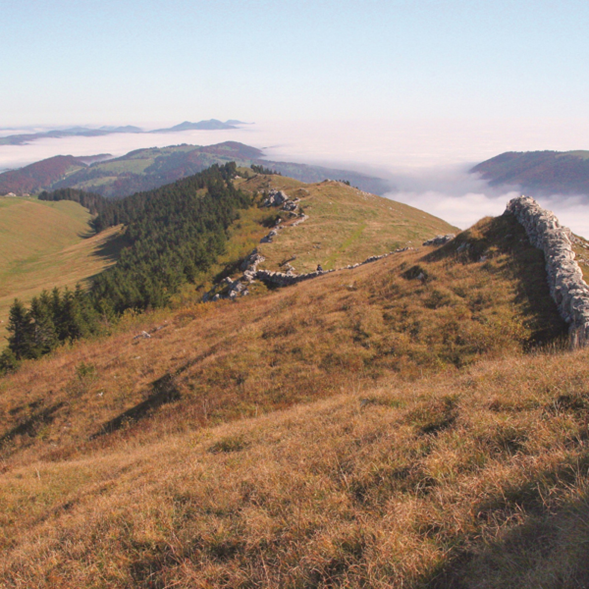 Aussicht auf die Parklandschaft des Chasseral (Bild: Daniel Abort, Parc Régional) 