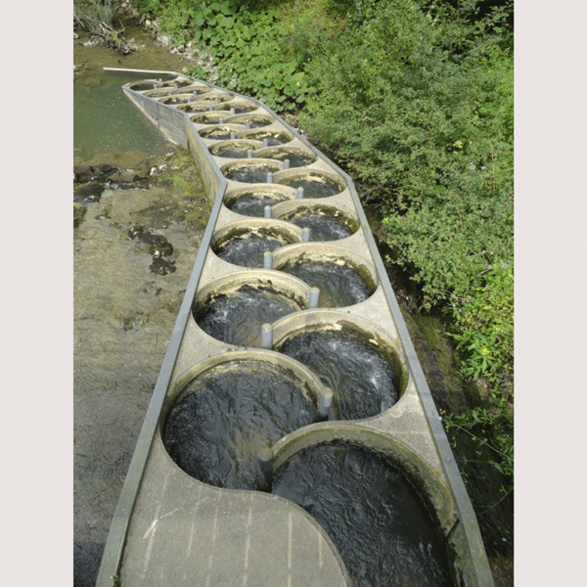 Mäander-Fischpass an der Sorne in der Pichoux-Schlucht, Delémont JU (Adrian Michael, CC BY-SA 3.0, commons.wikimedia.org)