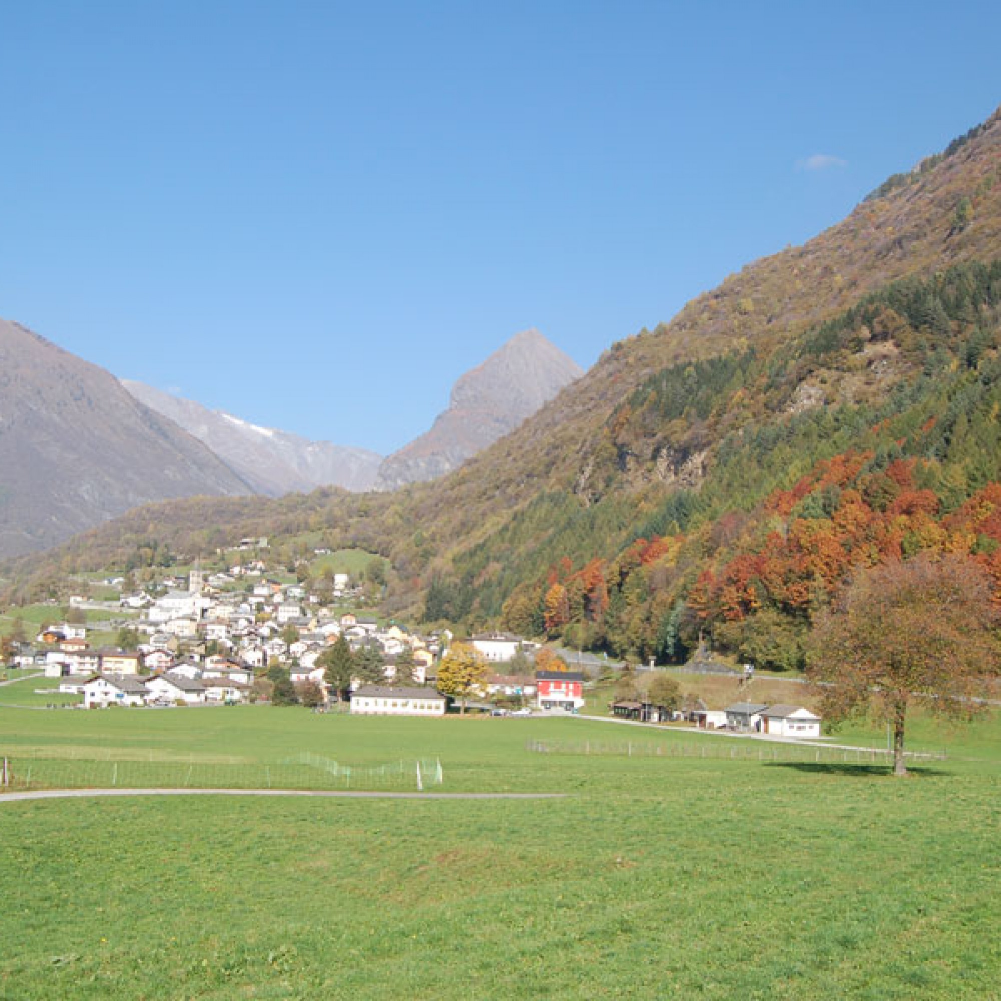 Die Finalisten: Aquila im Kanton Wallis