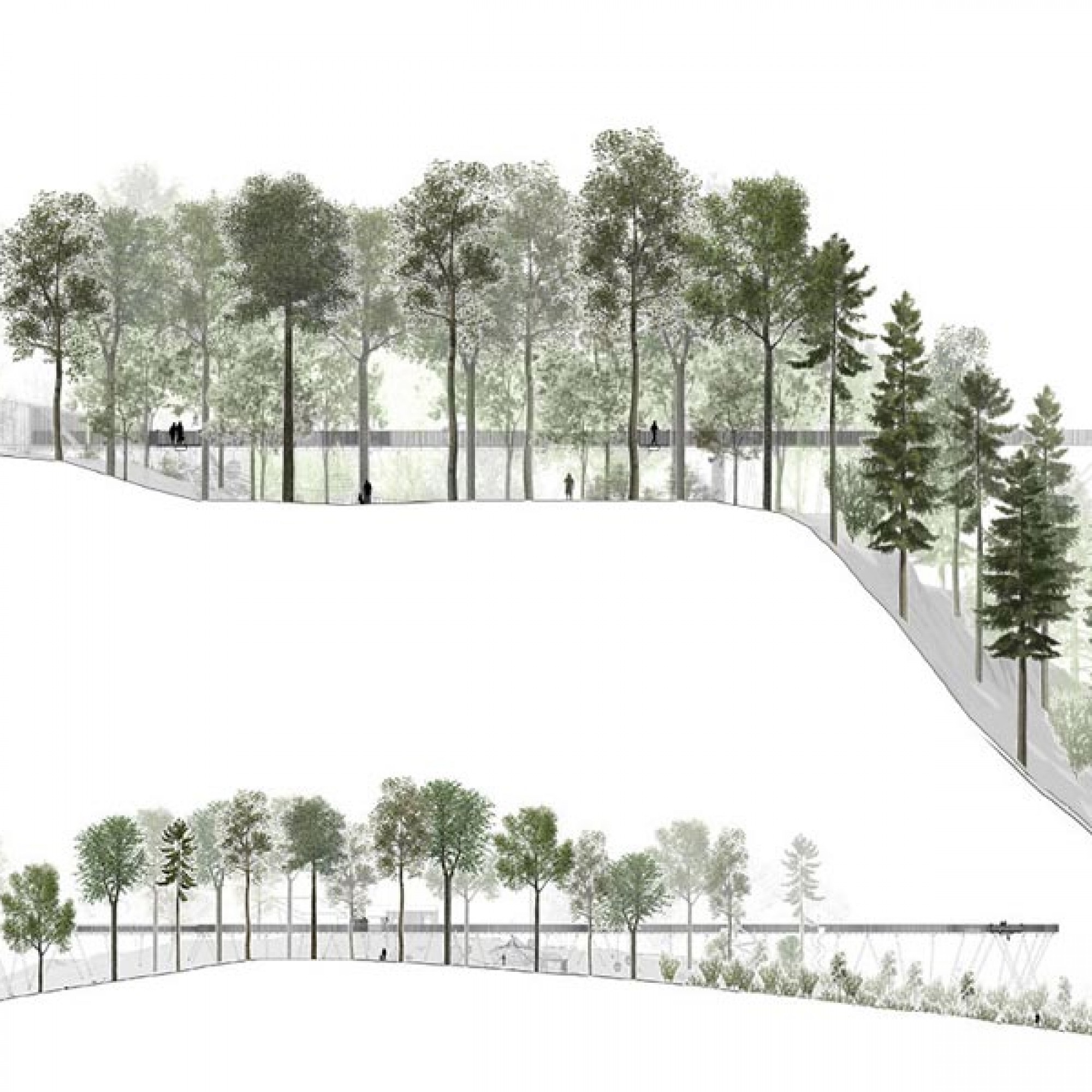 Profil des geplanten Streckenverlaufs des Baumwipfelpfades Neckertal. (Visualisierungen und Pläne: zvg)