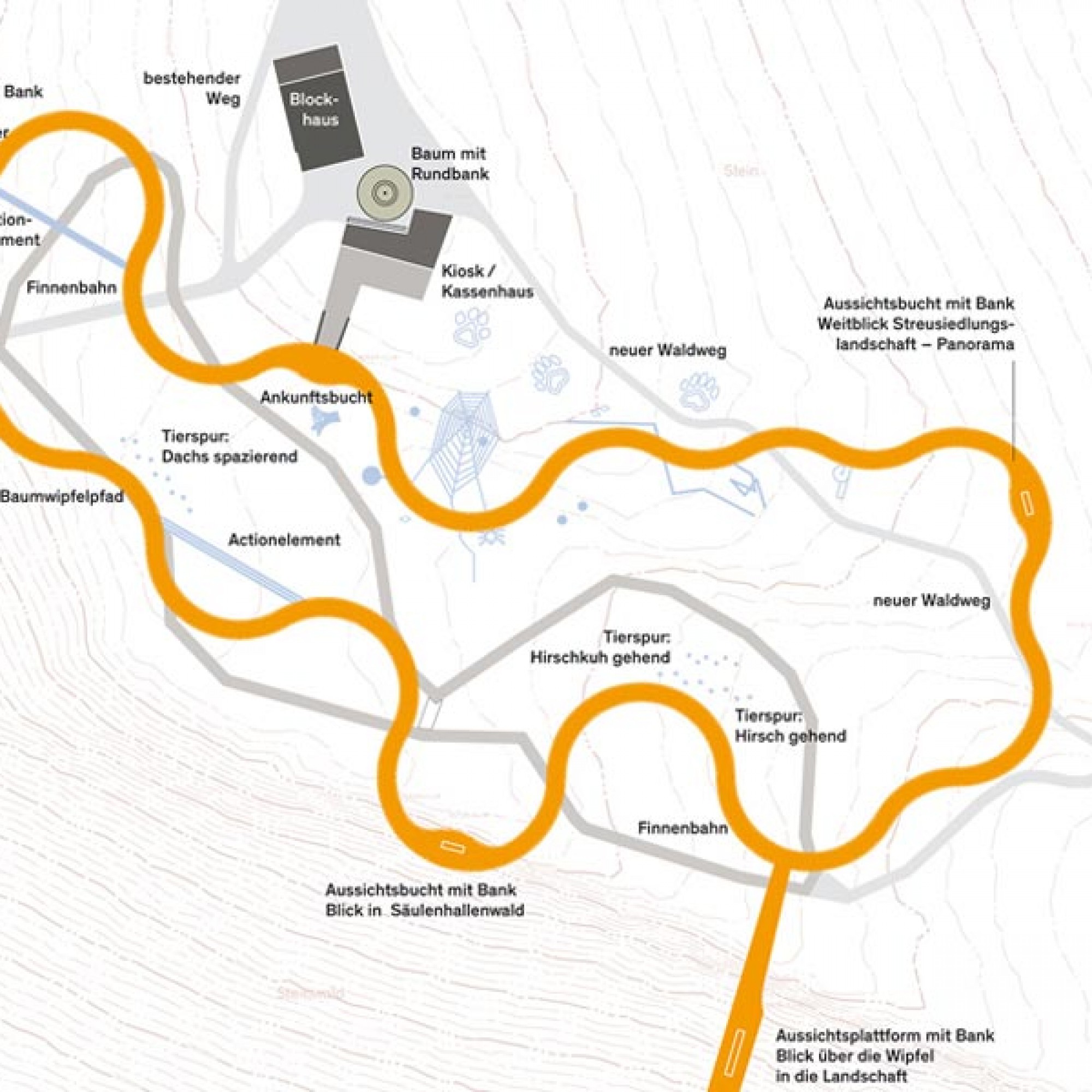 Streckenverlauf des 500 Meter langen Baumwipfelpfades oberhalb des Mogelsbergs. 