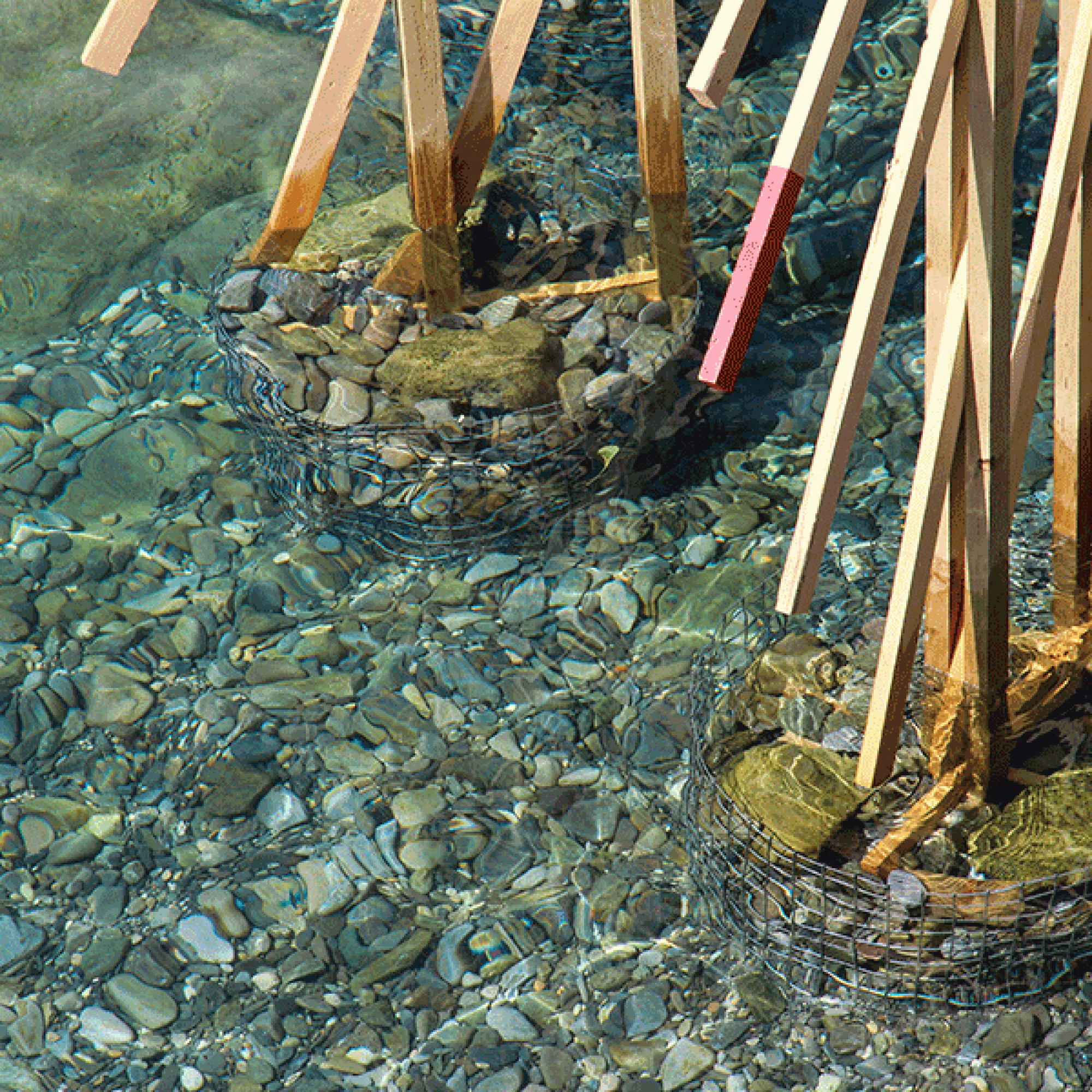 Und der Rest aus filigranen Holzstäben. (EPFL)