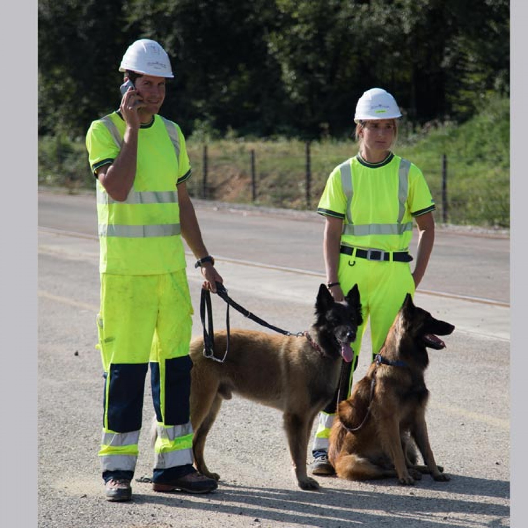 Die GU-Sprengtechnik AG hatte das Areal mit Hunden gesichert. (Foto: BCI-Betriebs-AG)