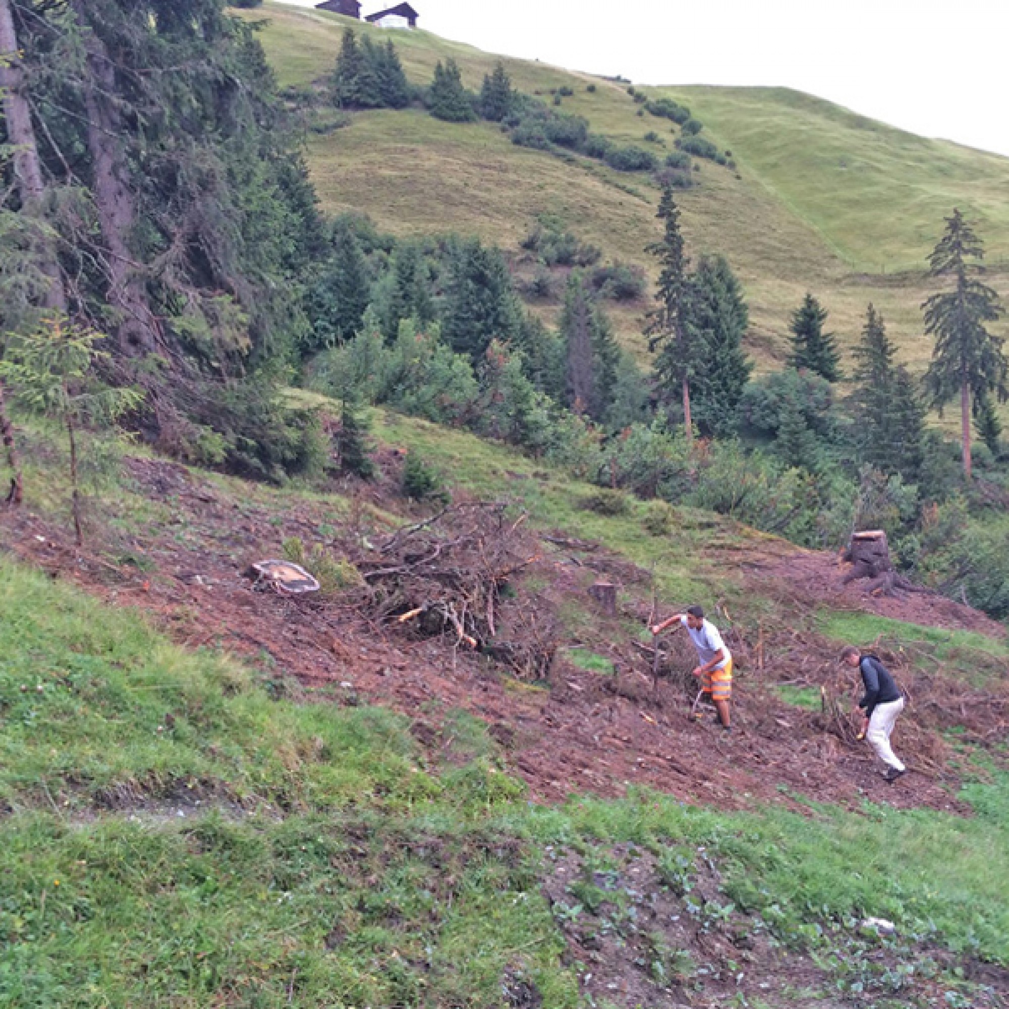 Entlang der Wanderwege im bündnerischen Safiental musste auch Gestrüpp entfernt oder zurückgeschnitten werden. 