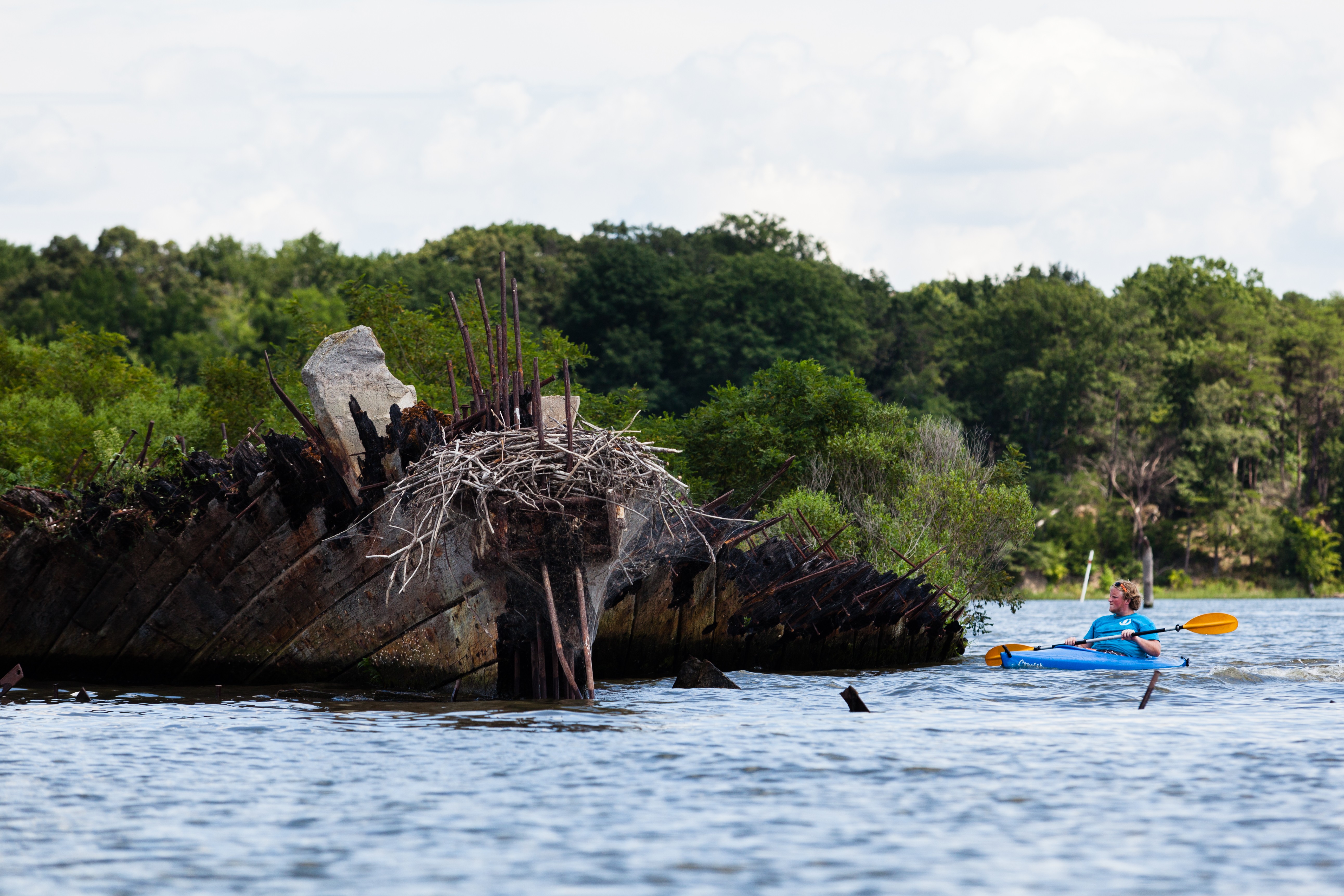 Geisterschiffe in Mallows Bay Der grösste Schiffsfriedhof der USA