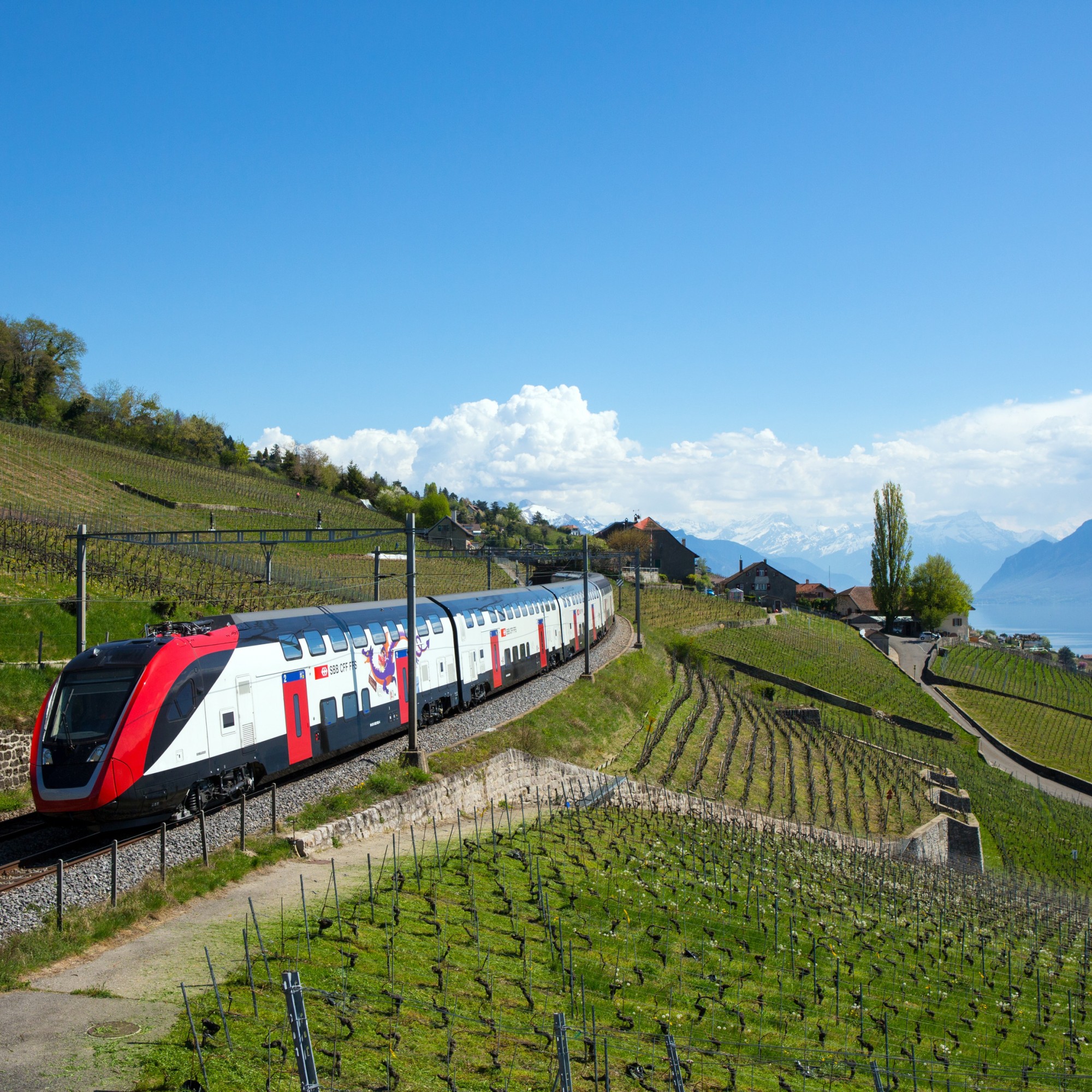 Der neue FV-Dosto in Lavaux.