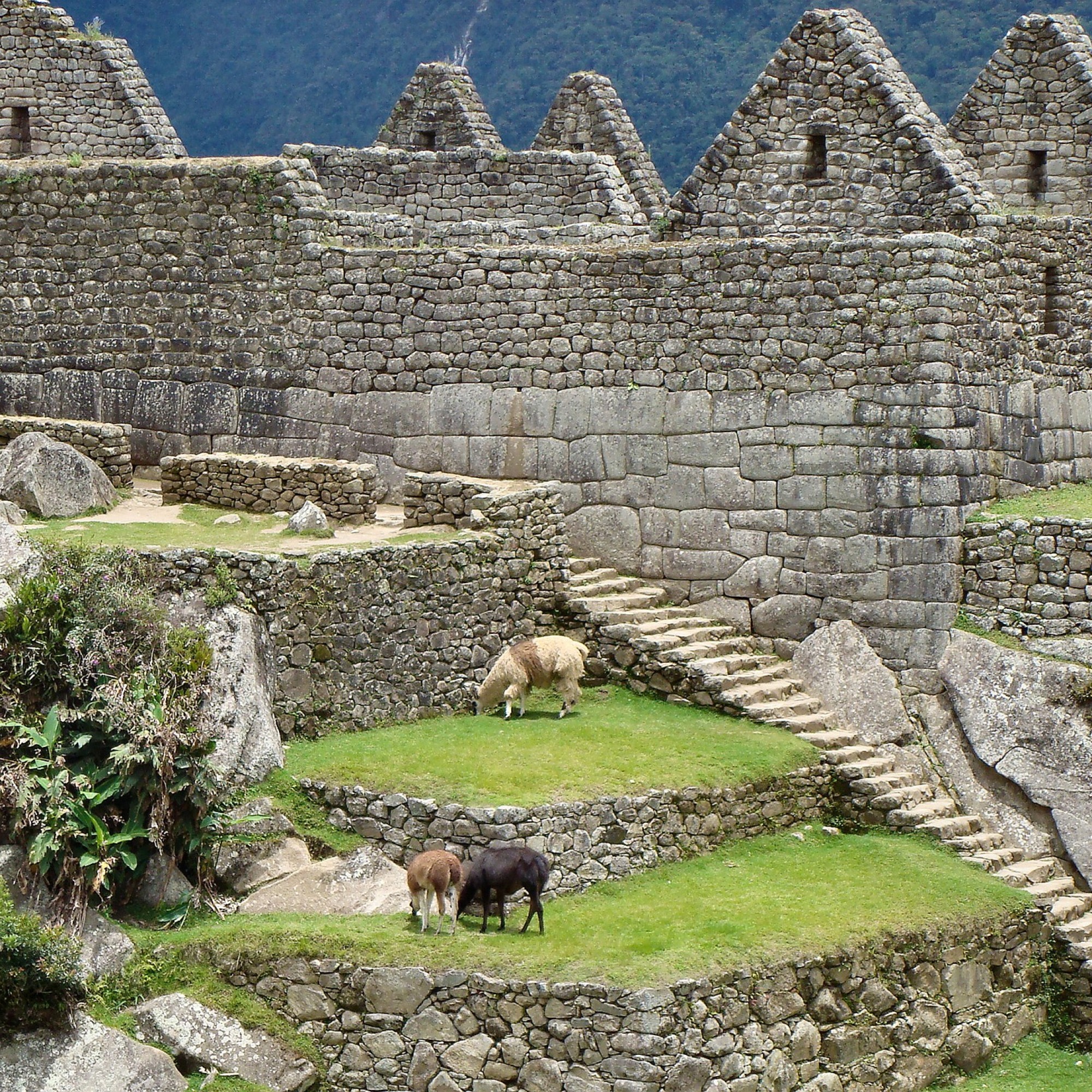 Machu Picchu, Symbolbild.