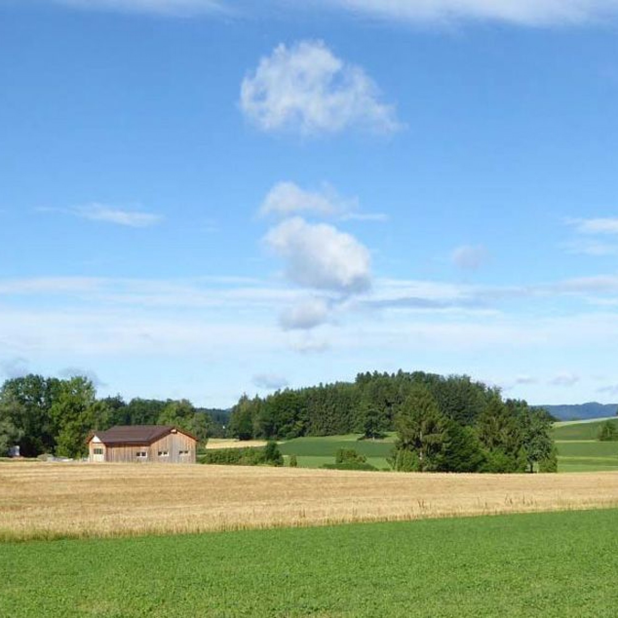 Einer der empfohlenen Standorte: Das Gebiet Chellen zwischen Zumikon und Maur.