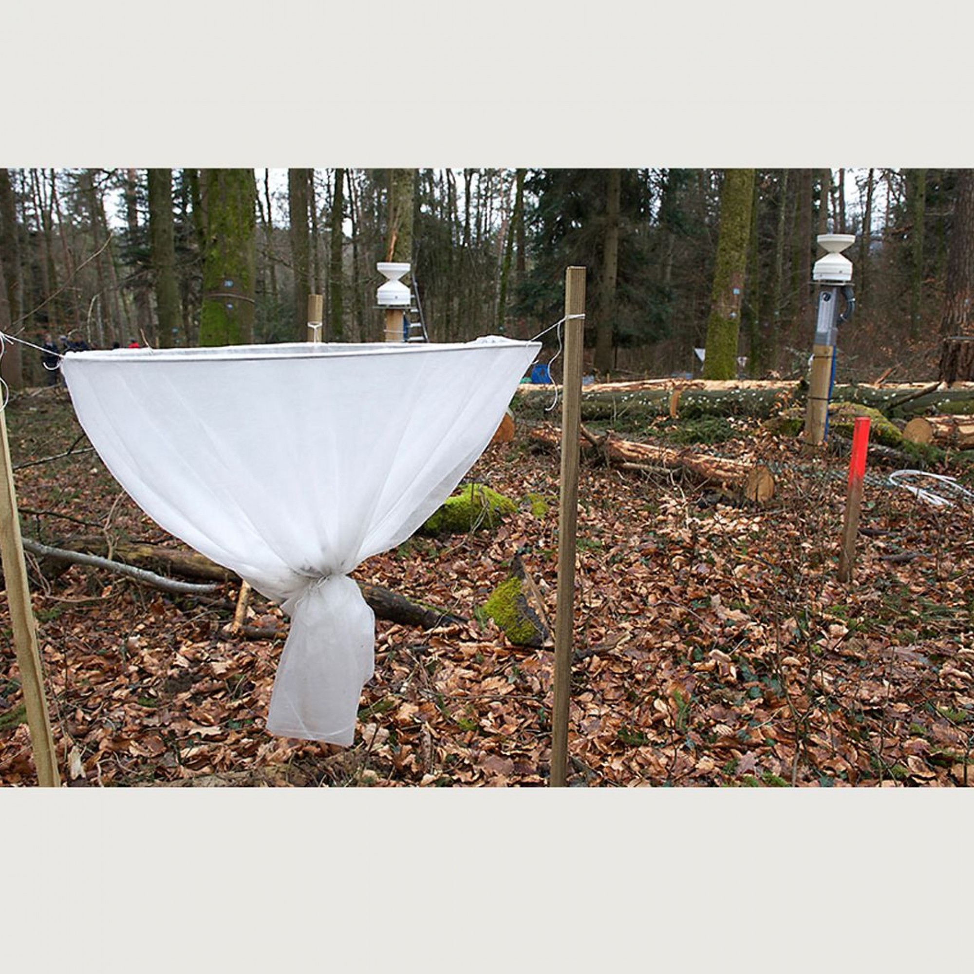 Streufallen fangen das Laub auf, das von den Bäumen fällt. Die Werte fliessen in die Berechnung der Kohlenstoffbilanz ein.