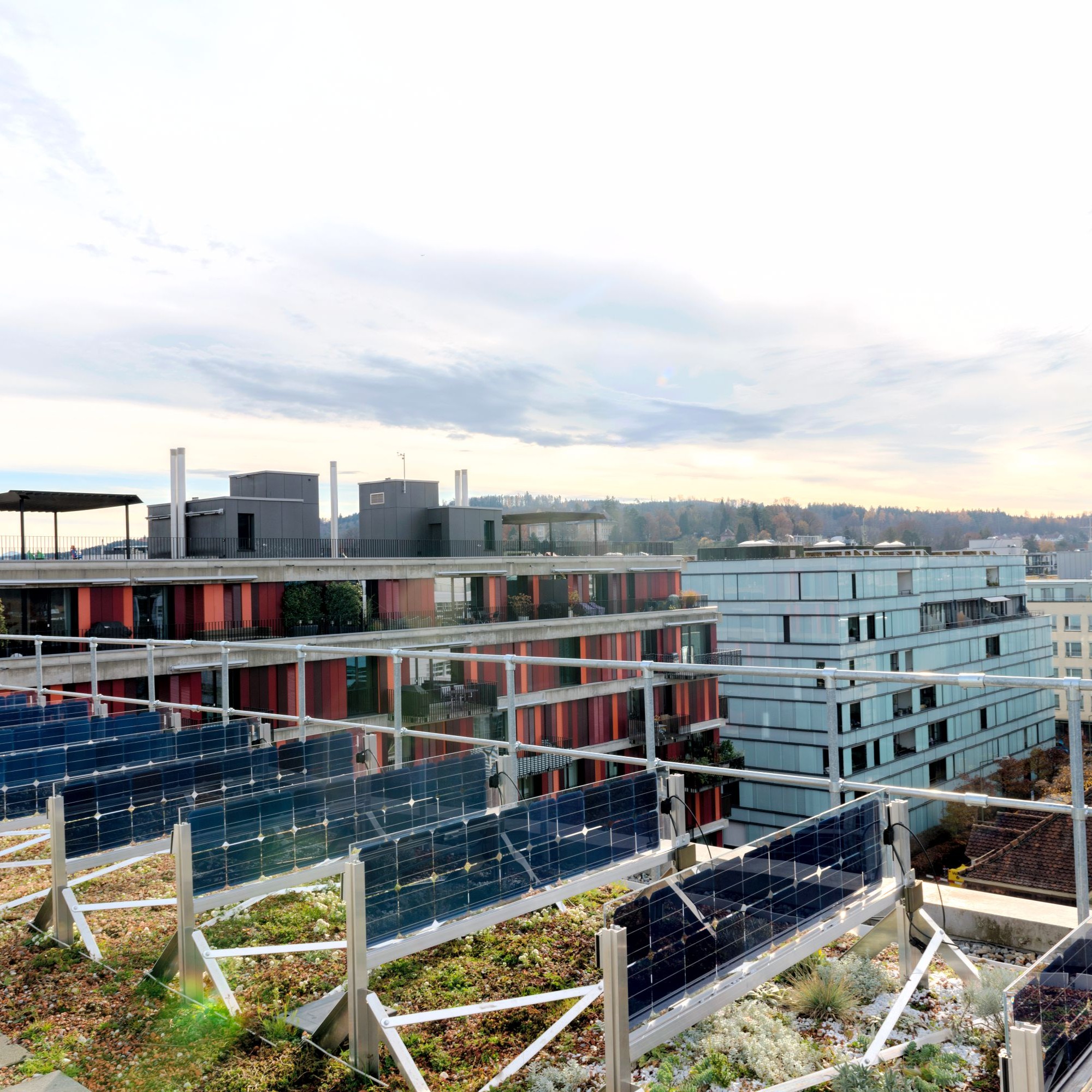 Die senkrechten Solarpanels fangen vor allem die Morgen- und Abendsonne ein.