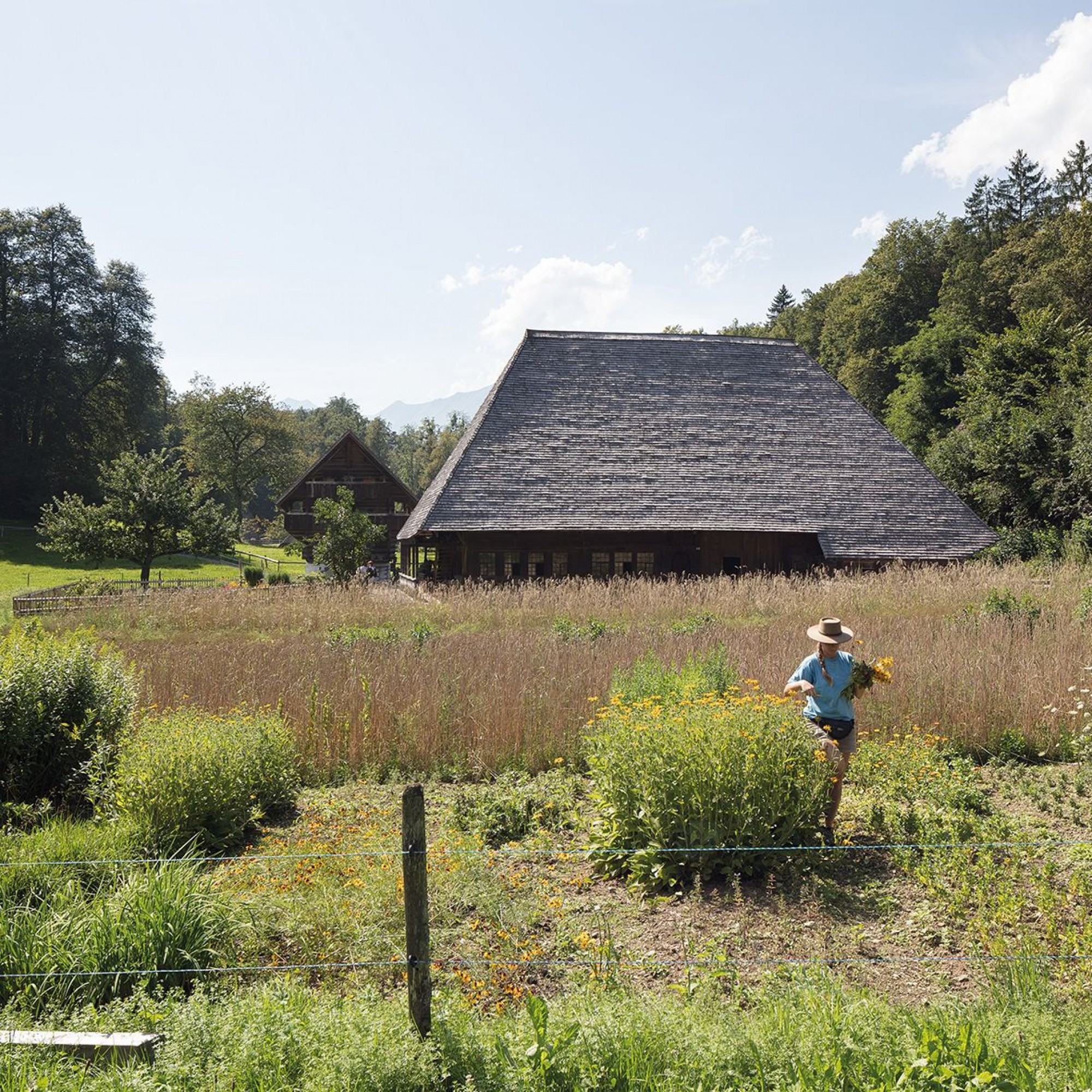 Das Freilichtmuseum Ballenberg hat den Schulthess Gartenpreis 2018 gewonnen.