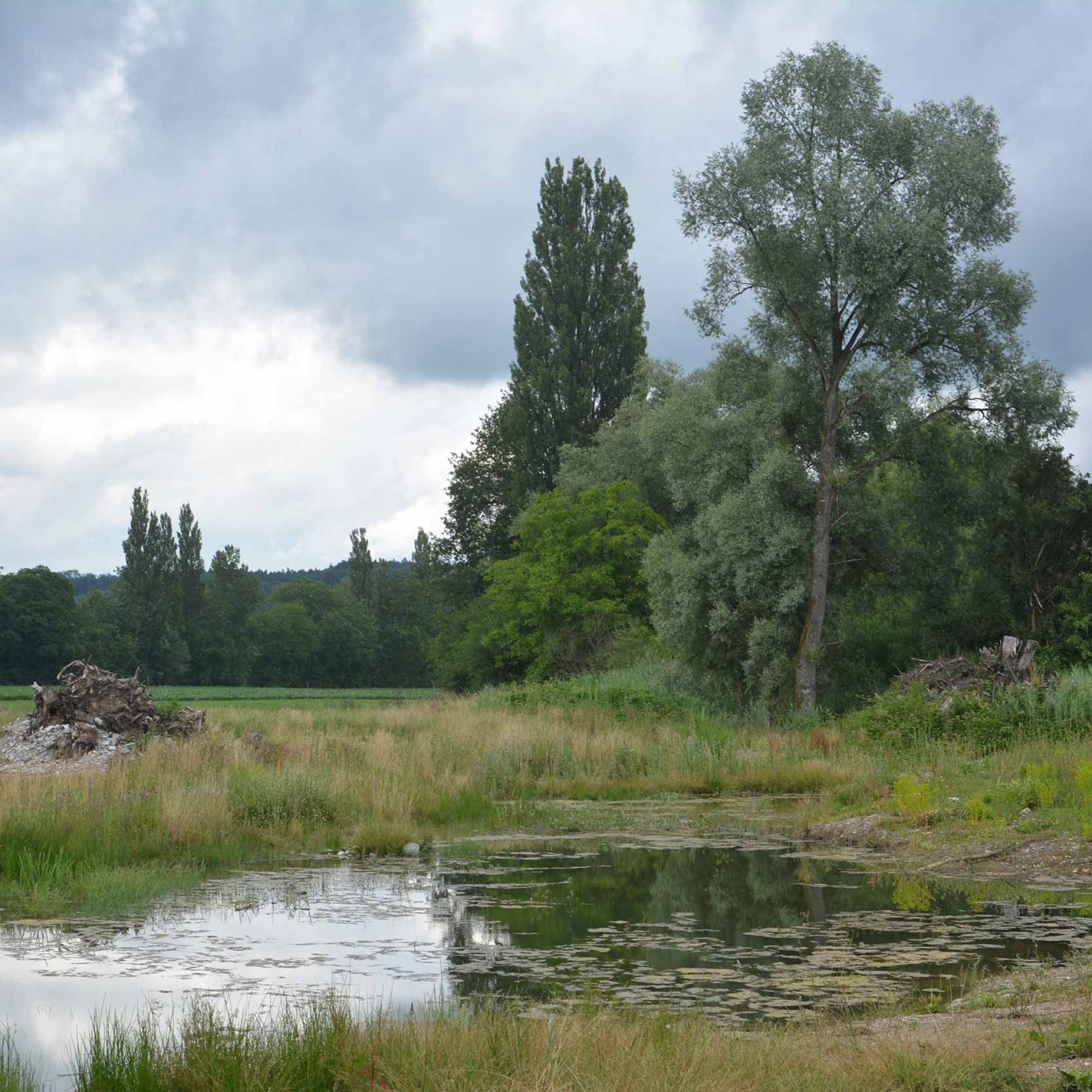 Auenlandschaft