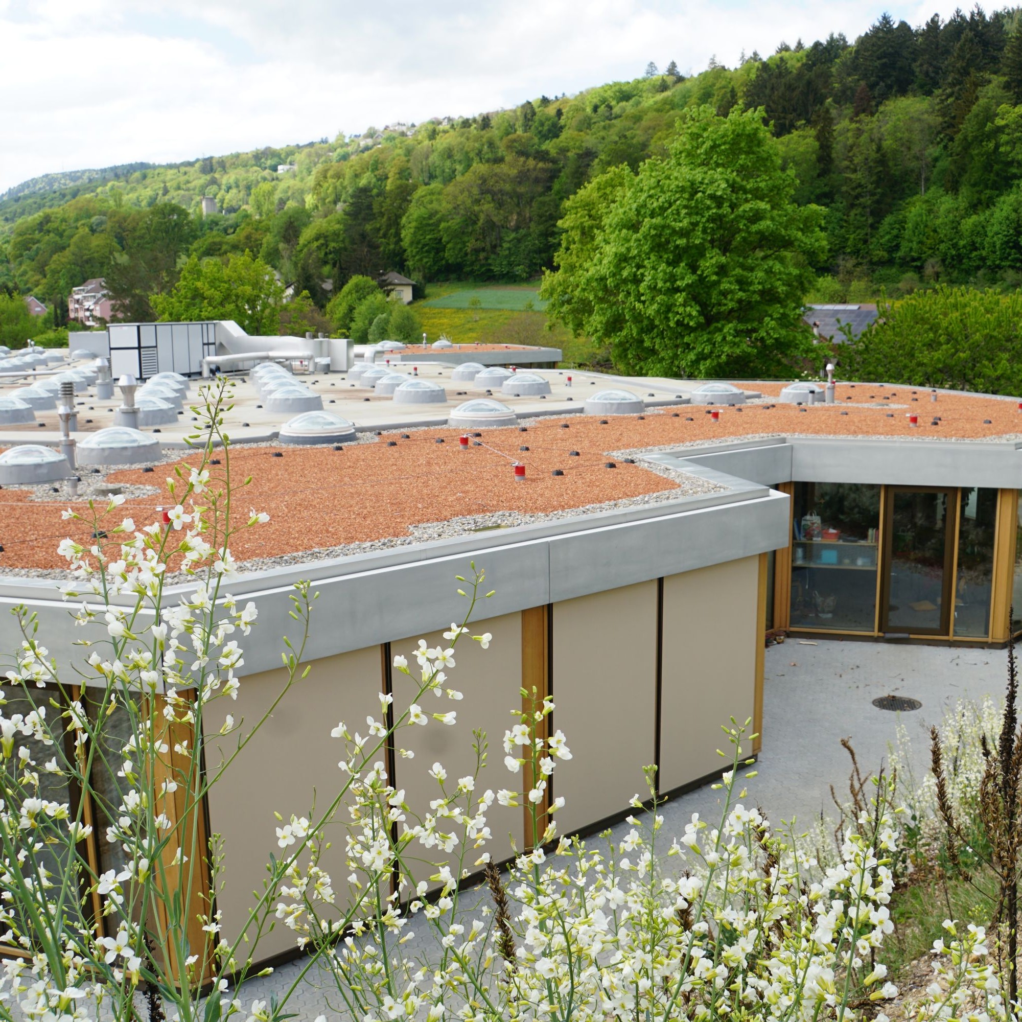 Von oben ist die Erweiterung des Schulgebäudes gut zu erkennen. Das Sechseck-System des Grundrisses wurde erhalten.