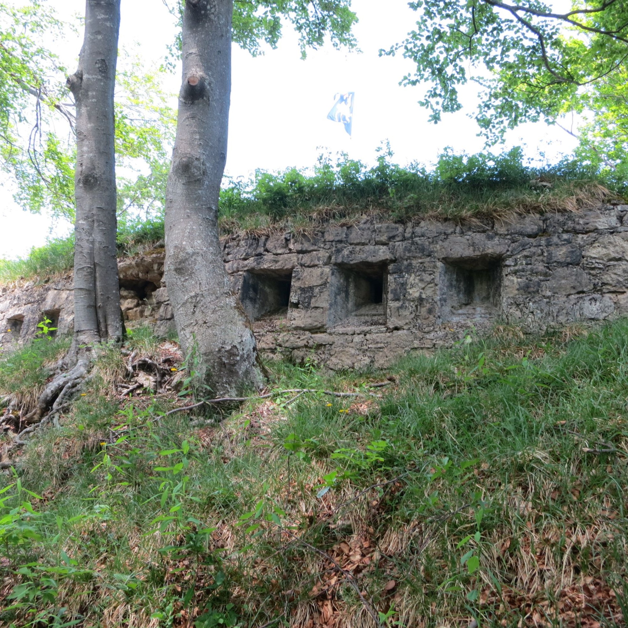 Die Fortifikation Hauenstein verfällt