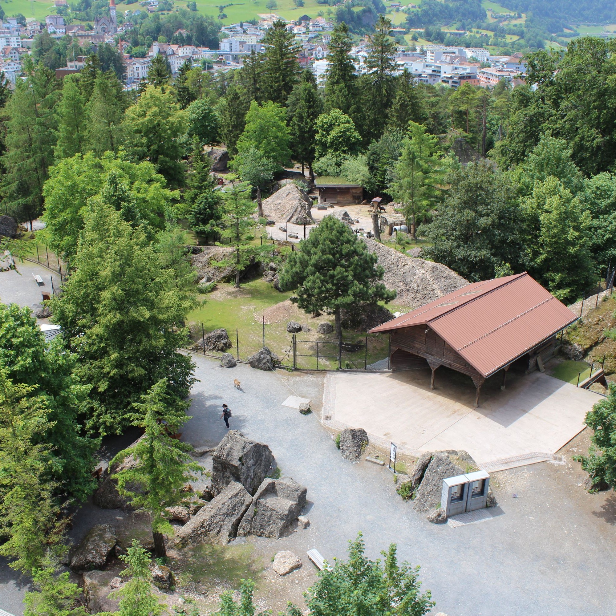 Das Baumaterial für die neue Eulenvoliere muss quer durch den Tierpark transportiert werden. Die Wege sind schmal, und überall türmen sich Felsbrocken, die der Goldauer Bergsturz im Jahr 1806 hinterlassen hat.